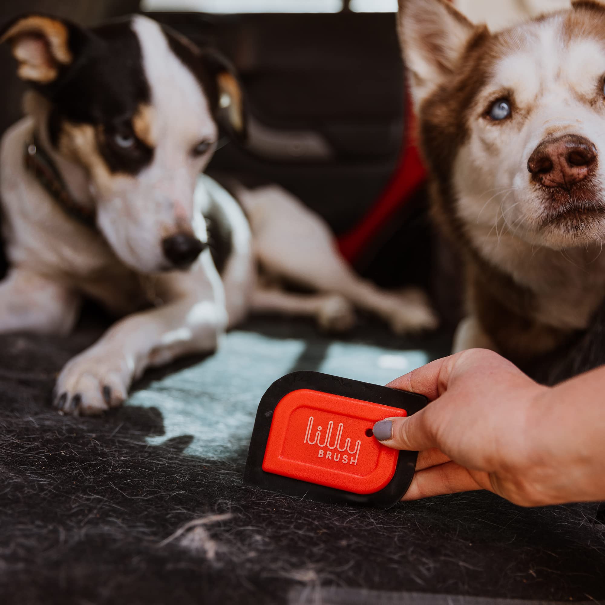 Lilly Brush Mini Pet Hair Detailer - Classic Red Reusable Fur Remover for Car Interior, Carpet, Couch & Furniture