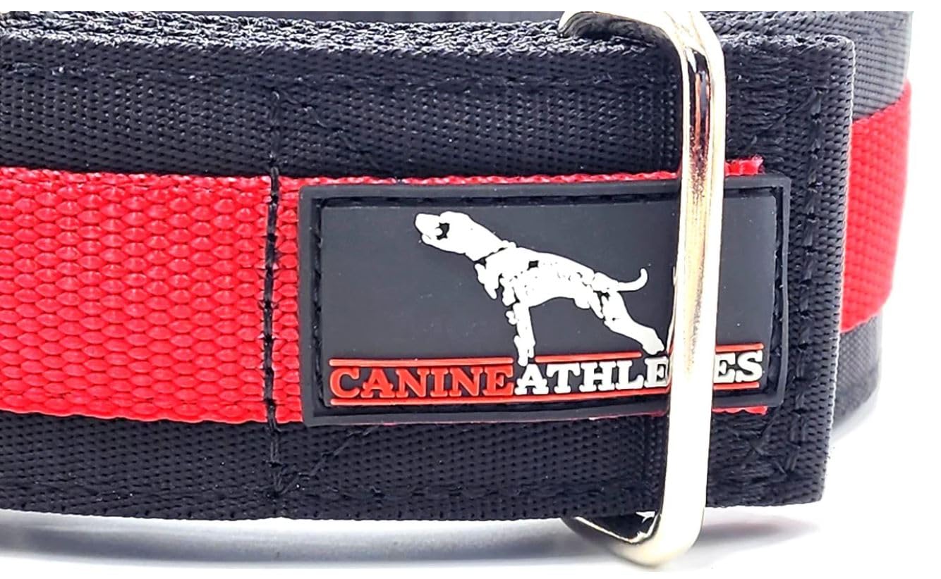 Canine Athletes 2" Wide Elite MAX V2 Neoprene Padded Dog Collar, Medium, Black, for Strong Dogs