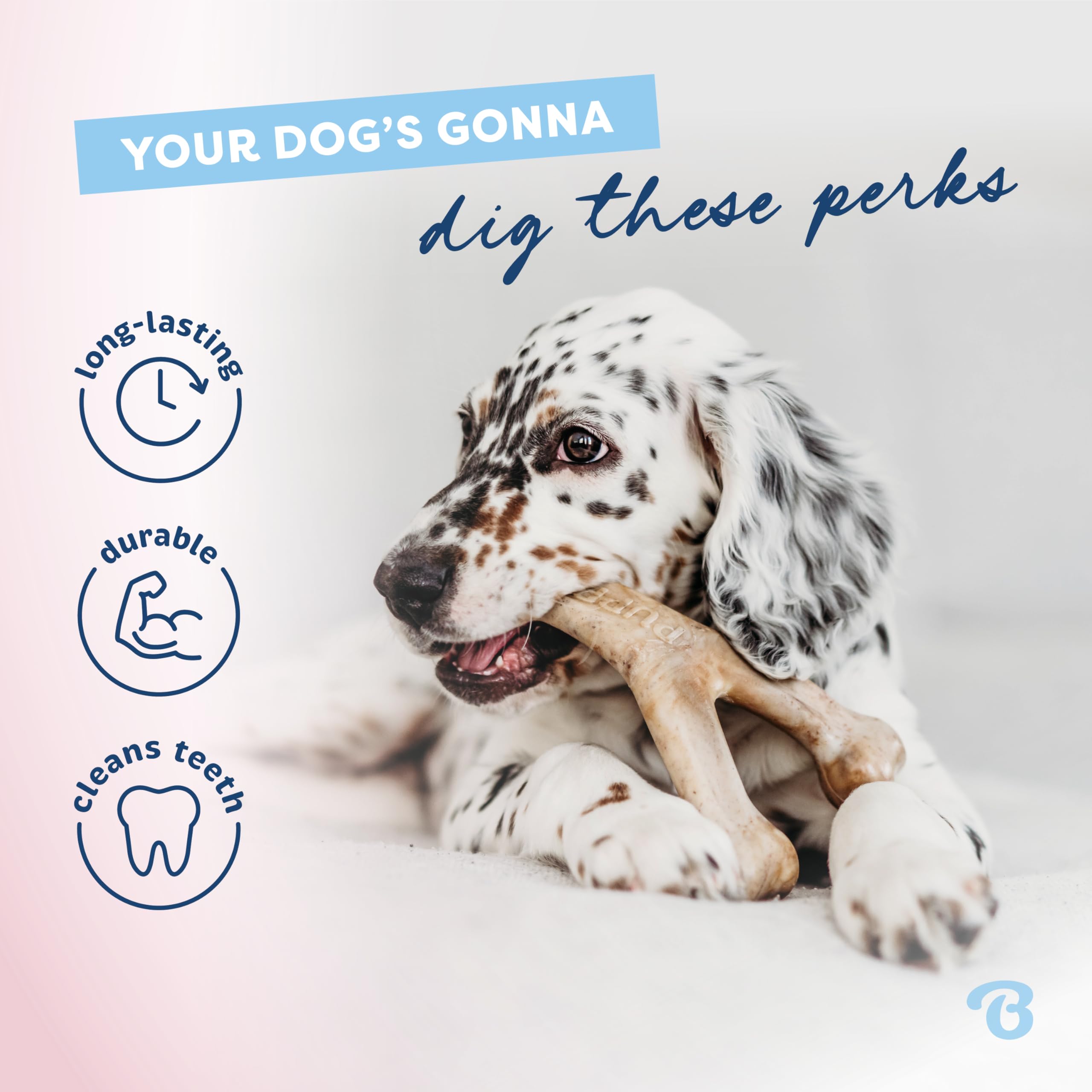 Benebone Puppy 2-Pack Rubber Bone/Wishbone Bacon Tiny