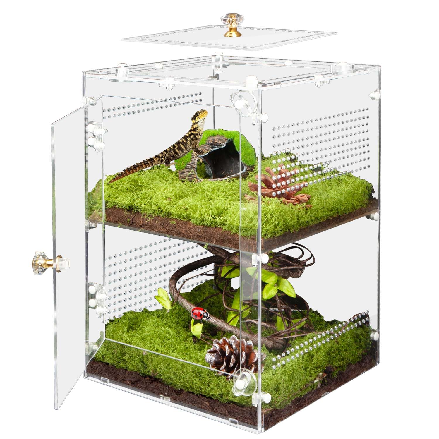 Acrylic Jumping Spider Enclosure with Removable Divider - 12*8*8 Large Reptile Terrarium for Praying Mantis, Arboreal Tarantula,
