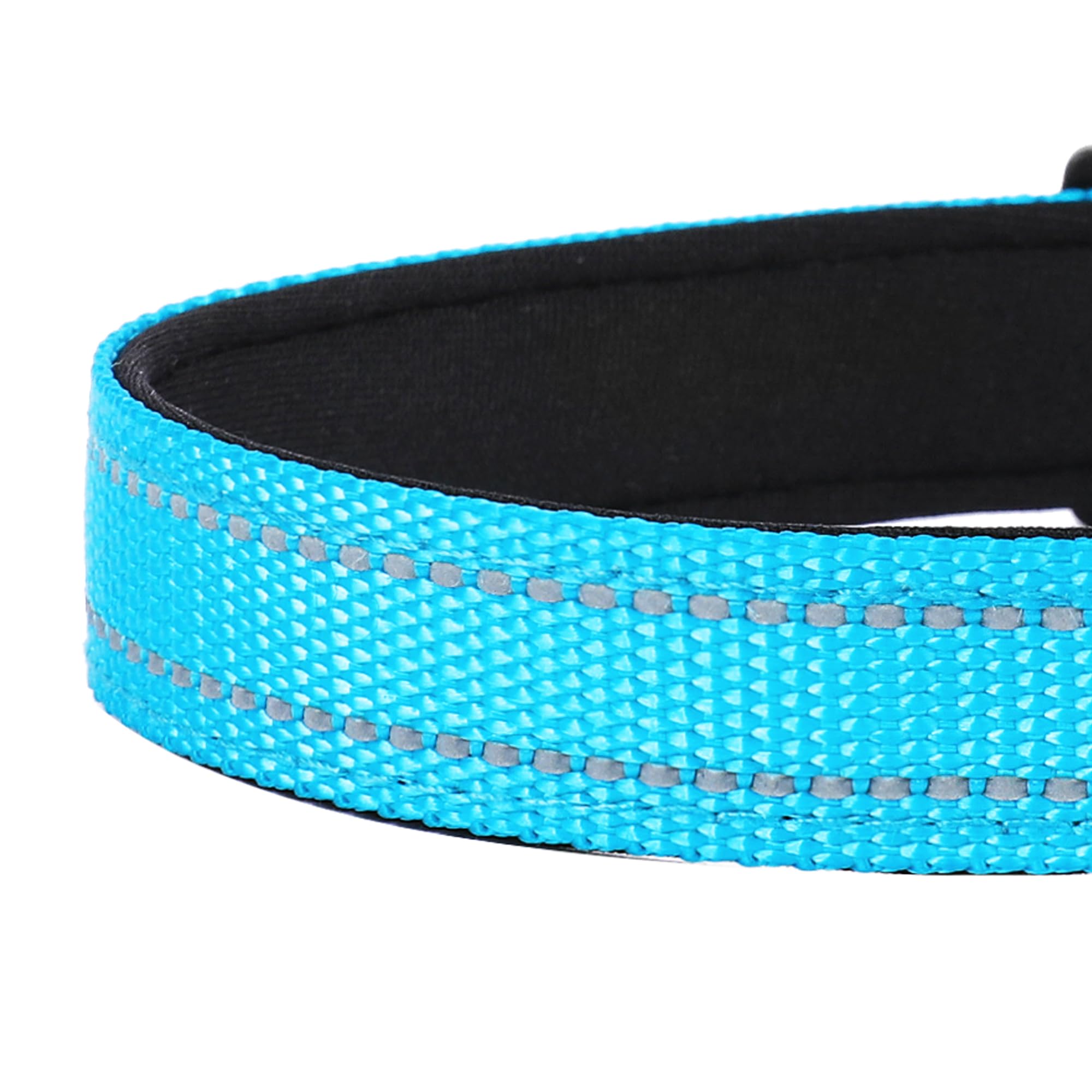 Pwod Reflective Dog Collar, Adjustable Soft Neoprene Padded Nylon Pet Collars With Buckle For Small Dogs, Sky Blue,S