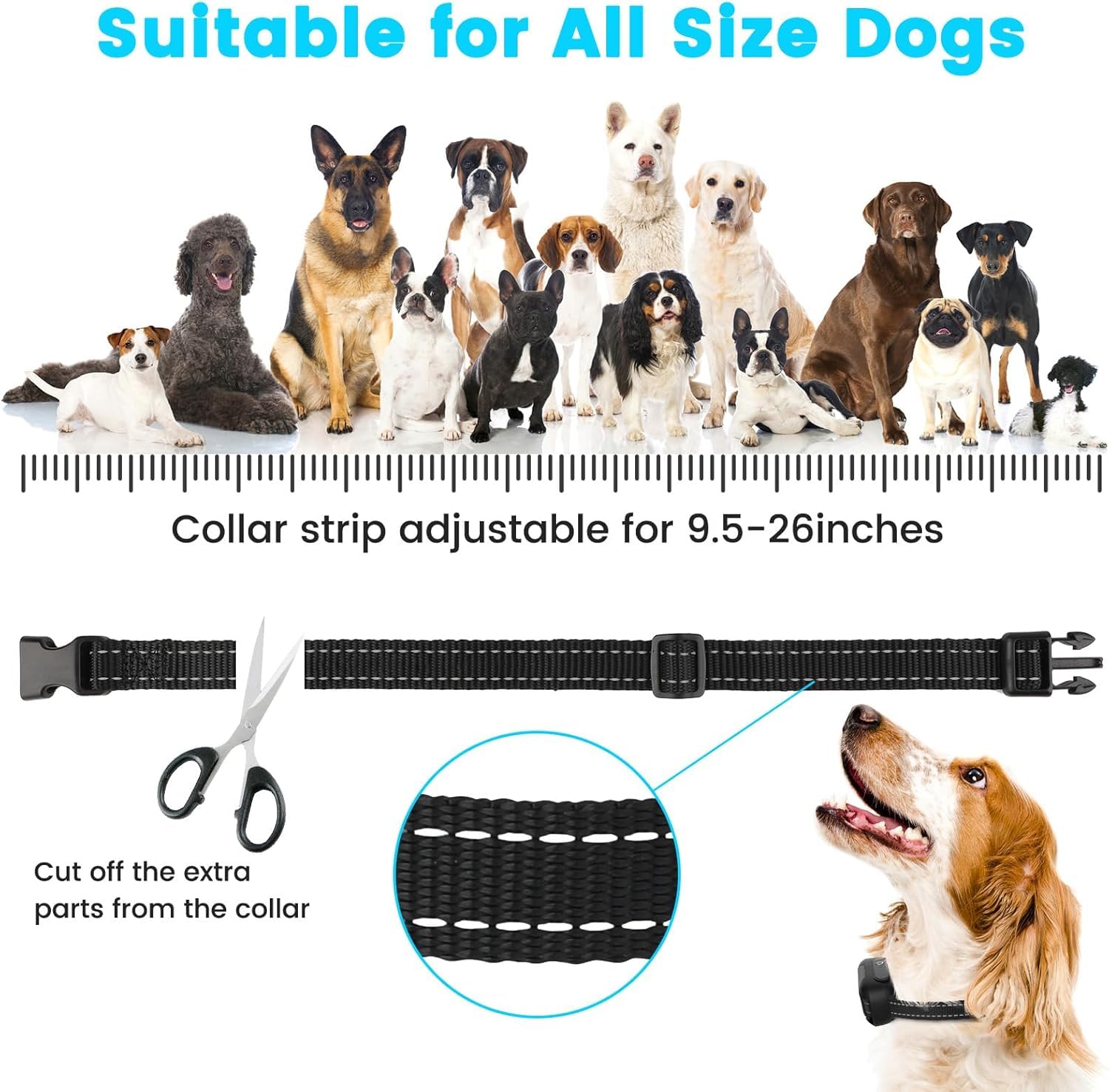 RUXAN Underground Electric Dog Fence System, Electric In Ground Dog Fence Containment System Aboveground Pet Containment System