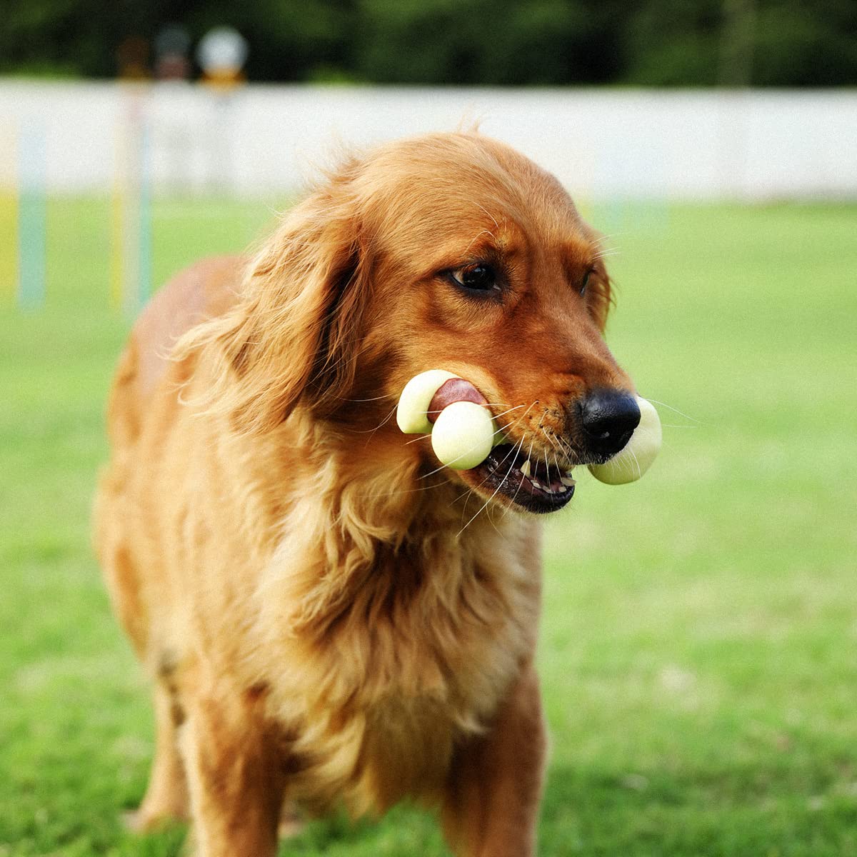 Tikaton Dog Chew Toys For Aggressive Chewers, Peanut Butter Flavor Durable Dog Teething Chew Toys Bones For Large/Medium/Small P