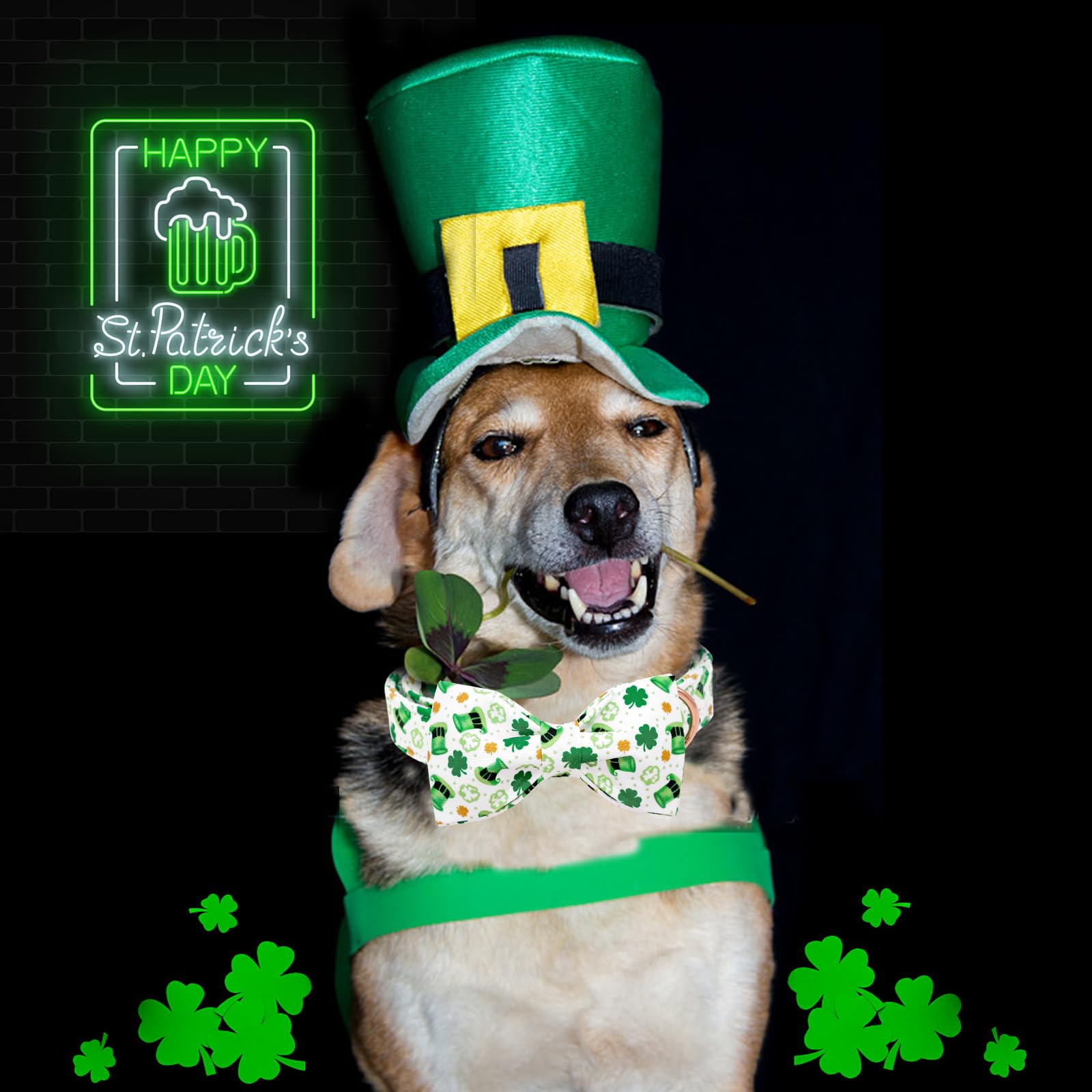 Lionheart Glory St. Patrick'S Day Dog Collar - Adjustable Green Collar With Lucky Clover Shamrock Bow For X-Small Dogs