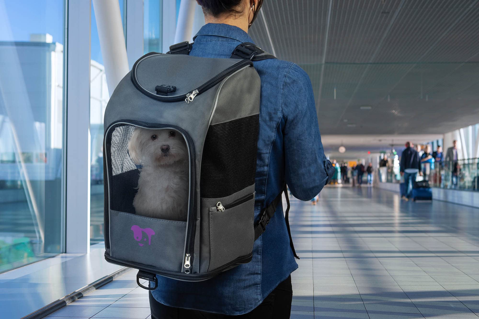 TrustyPup 2-in-1 Pet Backpack Travel Carrier, Airline Approved & Guaranteed On Board - Gray, Medium