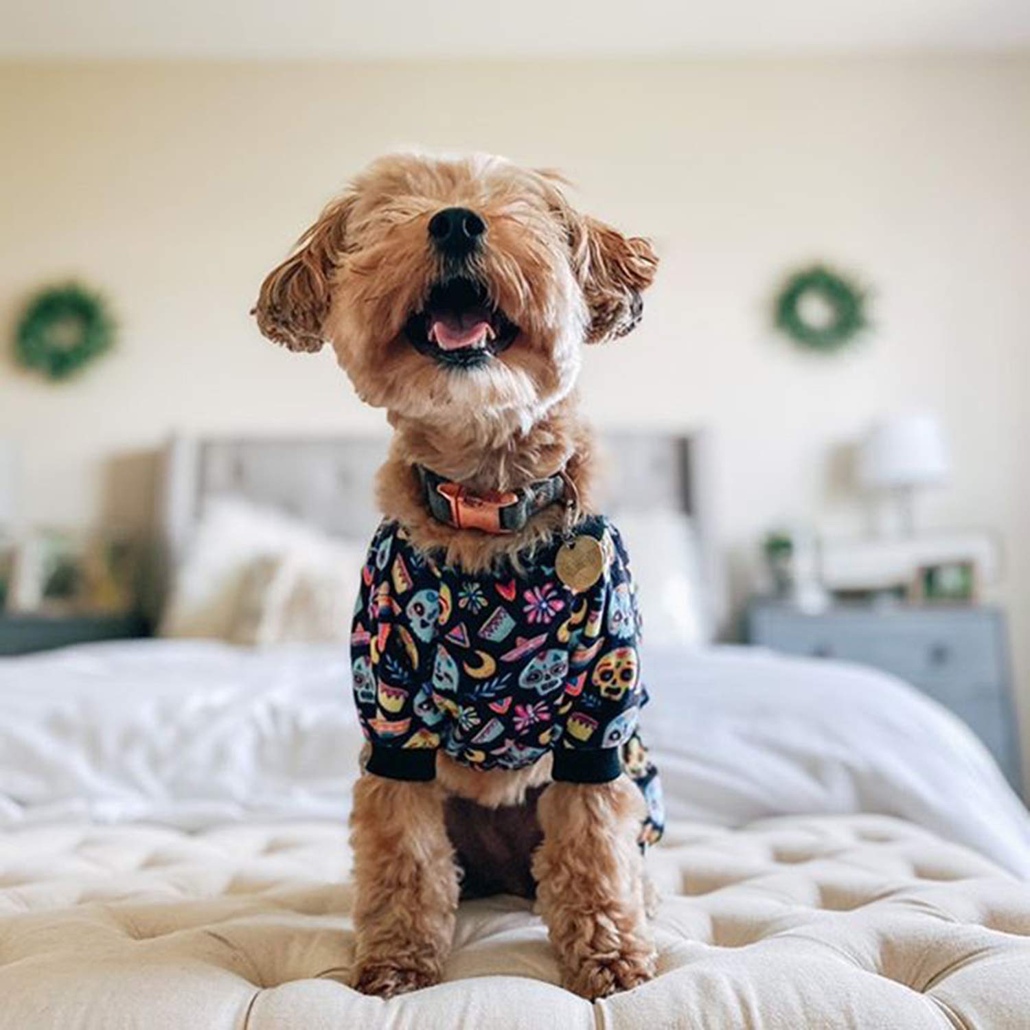 Cutebone Dog Pajamas Coco Skulls Dog Apparel Dog Jumpsuit Pet Clothes Pajamas P73M