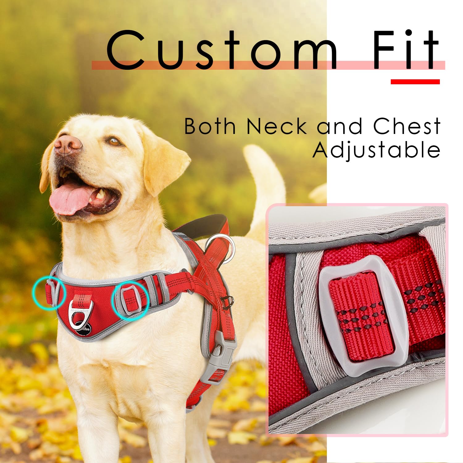 Adventuremore Small Dog No Pull Harness With Qr Code Tag, Adjustable Reflective Vest, Front Clip Handle For Training Walking - R