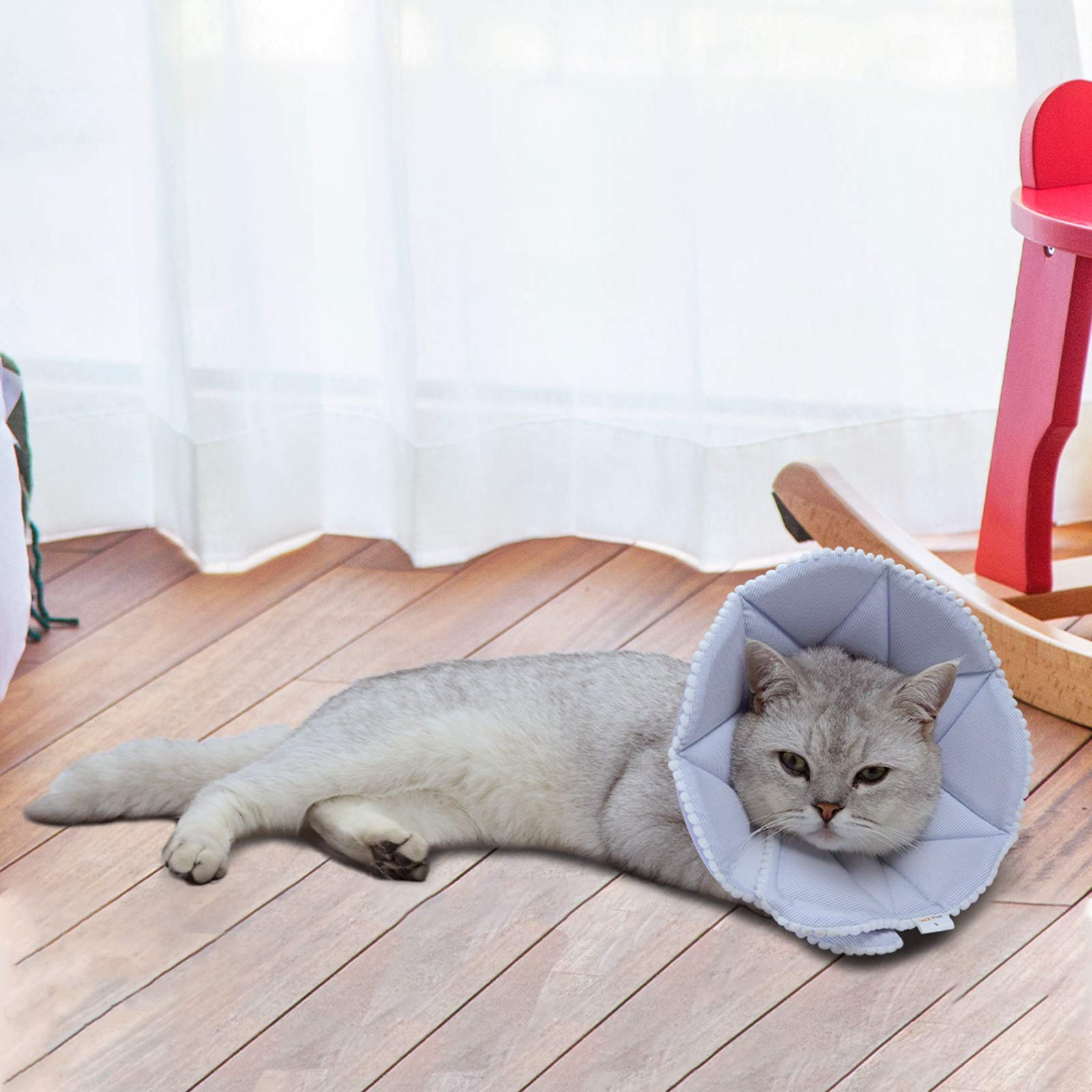 WZ PET Soft cat Recovery collar,Adjustable Dog cat cone,Dog Protective cone collar After Surgery,for cats and Puppy,Small,Blue