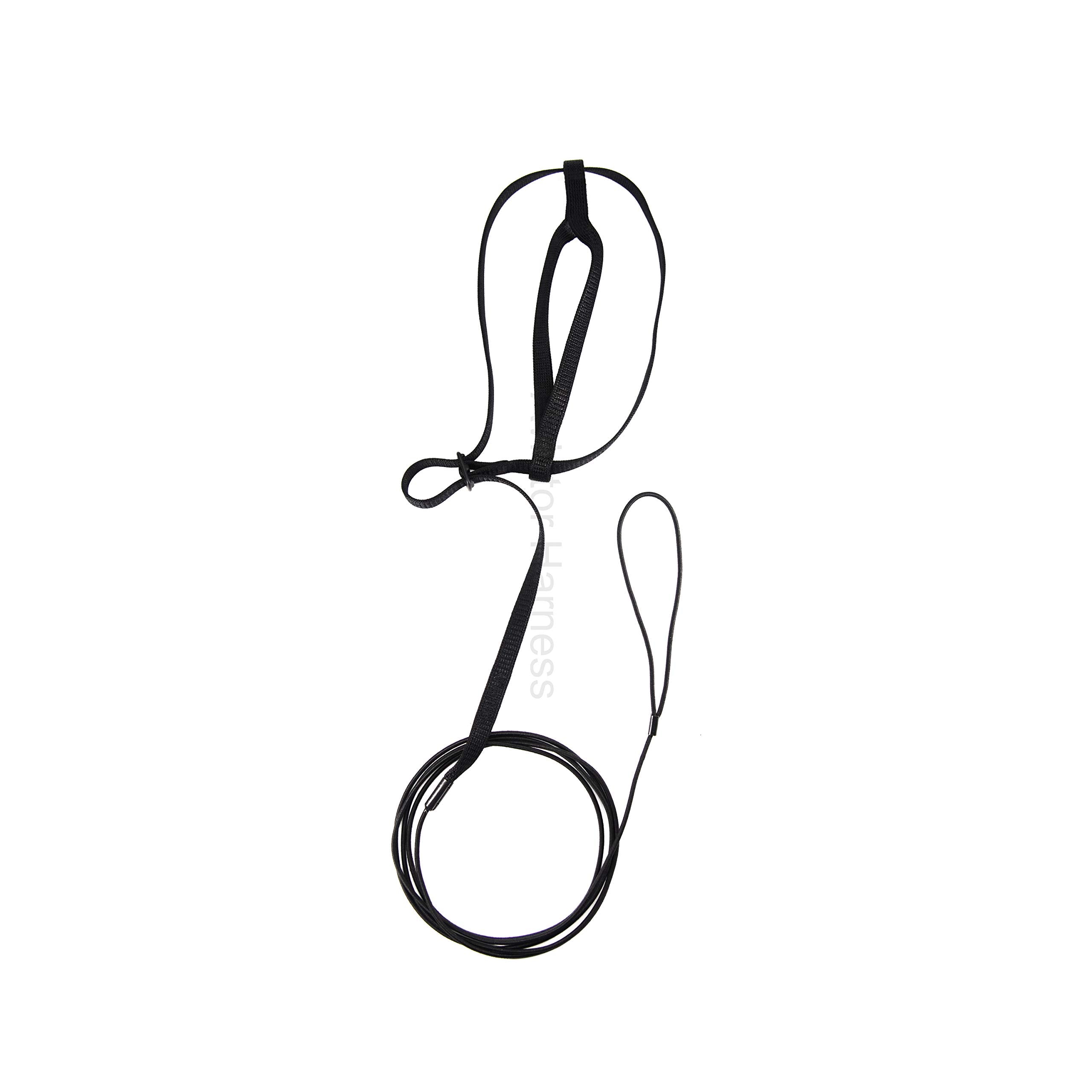 The AVIATOR Pet Bird Harness and Leash: Medium Black