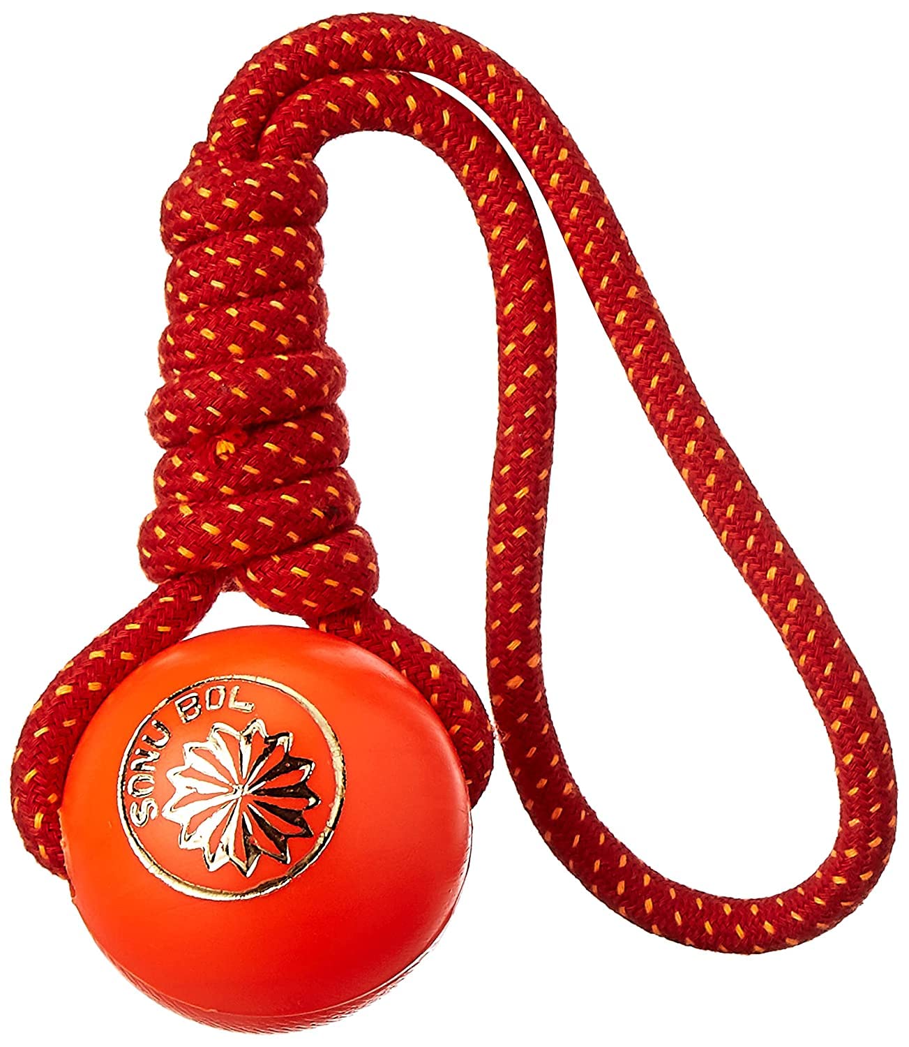 Rvpaws Durable Plastic Ball Knotted Cotton Rope Toys For Teeth Cleaning And Chewing For All Breeds Dog, Cats And Puppies