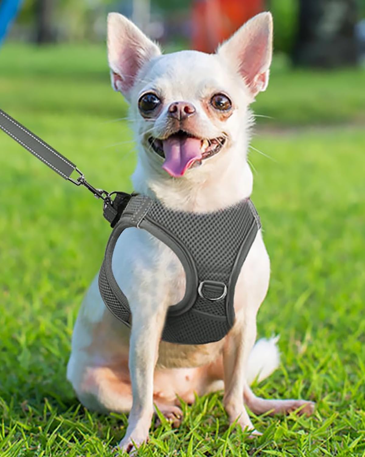 Joytale Small Dog Harness, Breathable Mesh Step-In Vest, Reflective Soft Padded Harnesses For Puppies And Extra Small Dogs, Gray