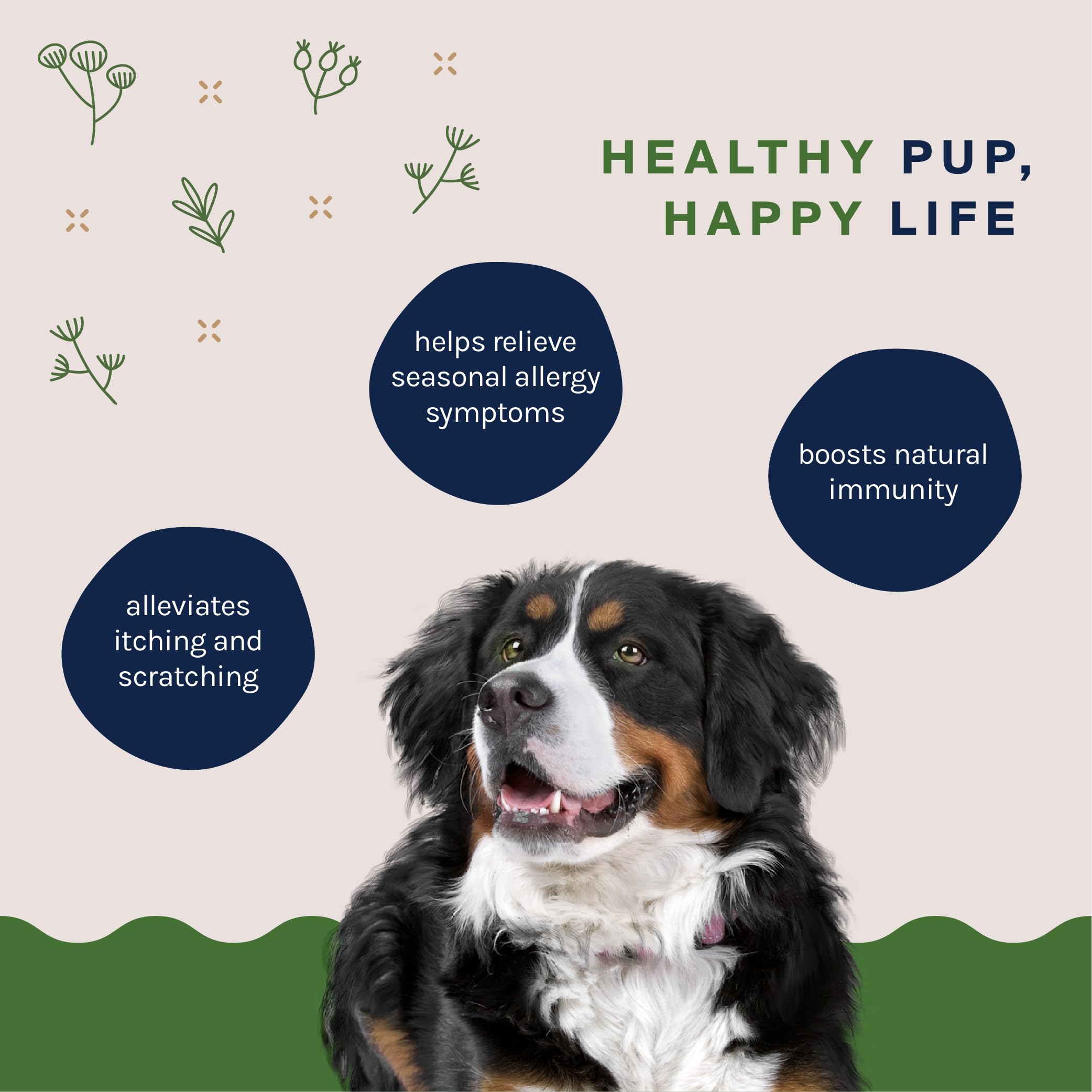 Good Trouble Pets Dog Allergy Support Soft Chew Supplements: Allergy Relief for Itching and Licking - Seasonal Allergy Relief fo