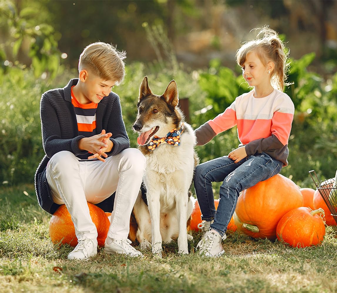 Tunkoo Happy Halloween Dog Collar With Pumpkin - Durable, Adjustable, And Stylish Pet Collar Available In Small, Medium, Large M