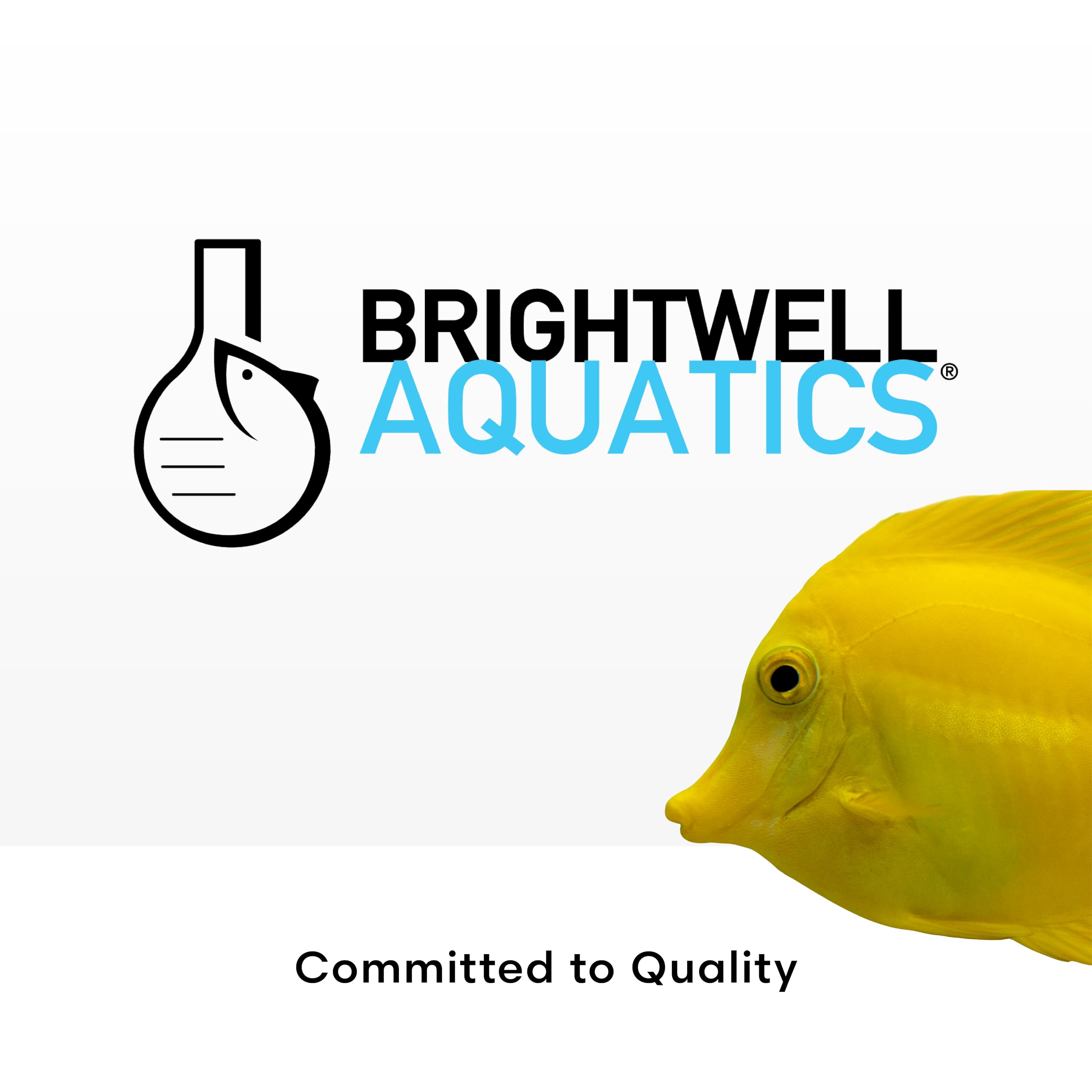 Brightwell Aquatics Shrimp Prep - Water Conditioner for Freshwater Shrimp & Aquariums - Removes Chlorine, Ammonia & Heavy Metals