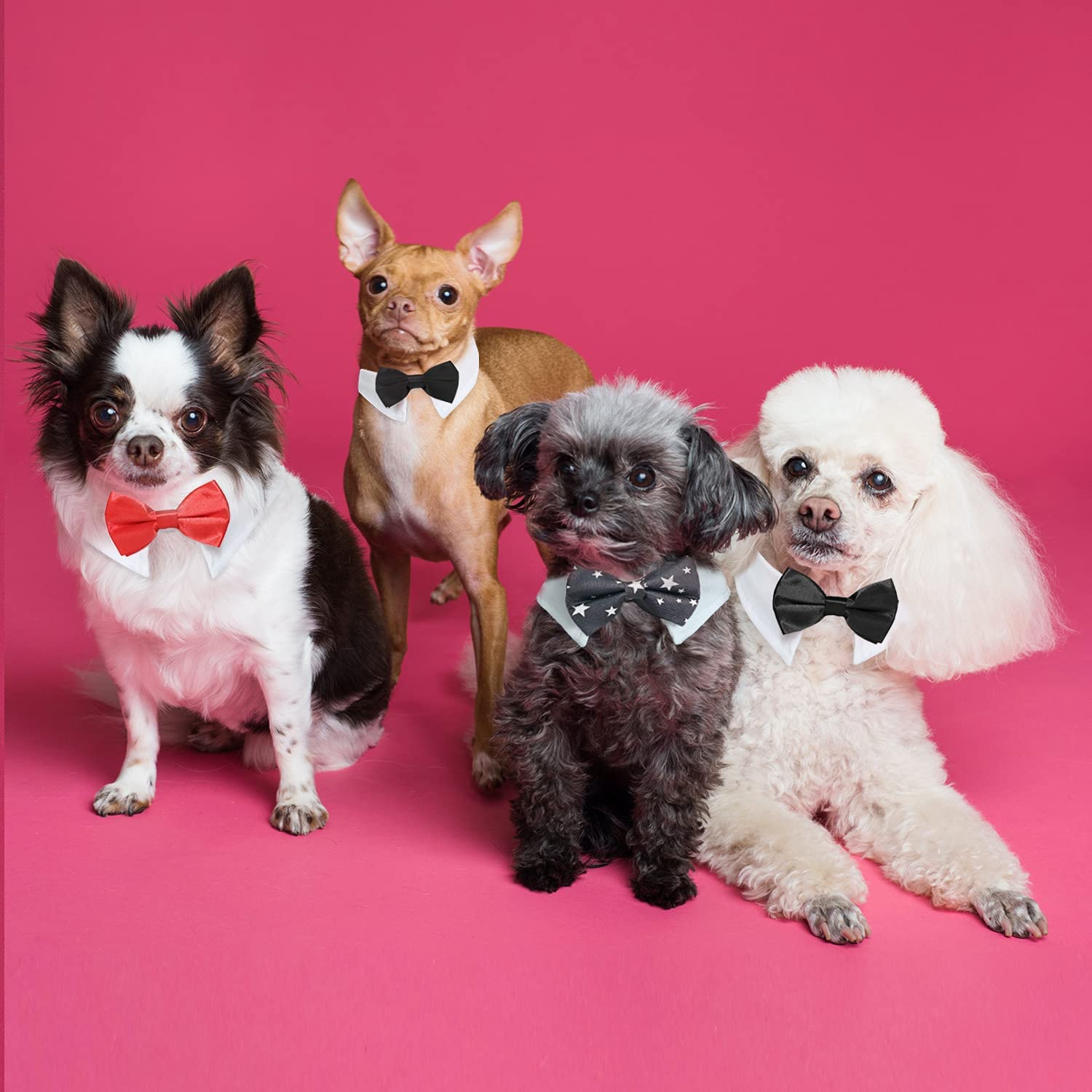 Formal Dog Bowtie Collar, Koolmox Red Tuxedo For Dogs, Tuxedo Dog Neck Bow Red With Adjustable White Collar Formal Pet Collar Necktie For Small Medium Large Boy Dog Tuxedo Tux Outfits Costumes