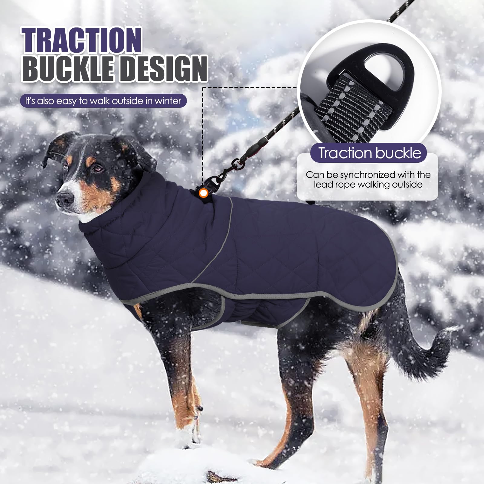 Pinellia Dog Winter Coat, Waterproof & Windproof, Reflective, Blue, Xl