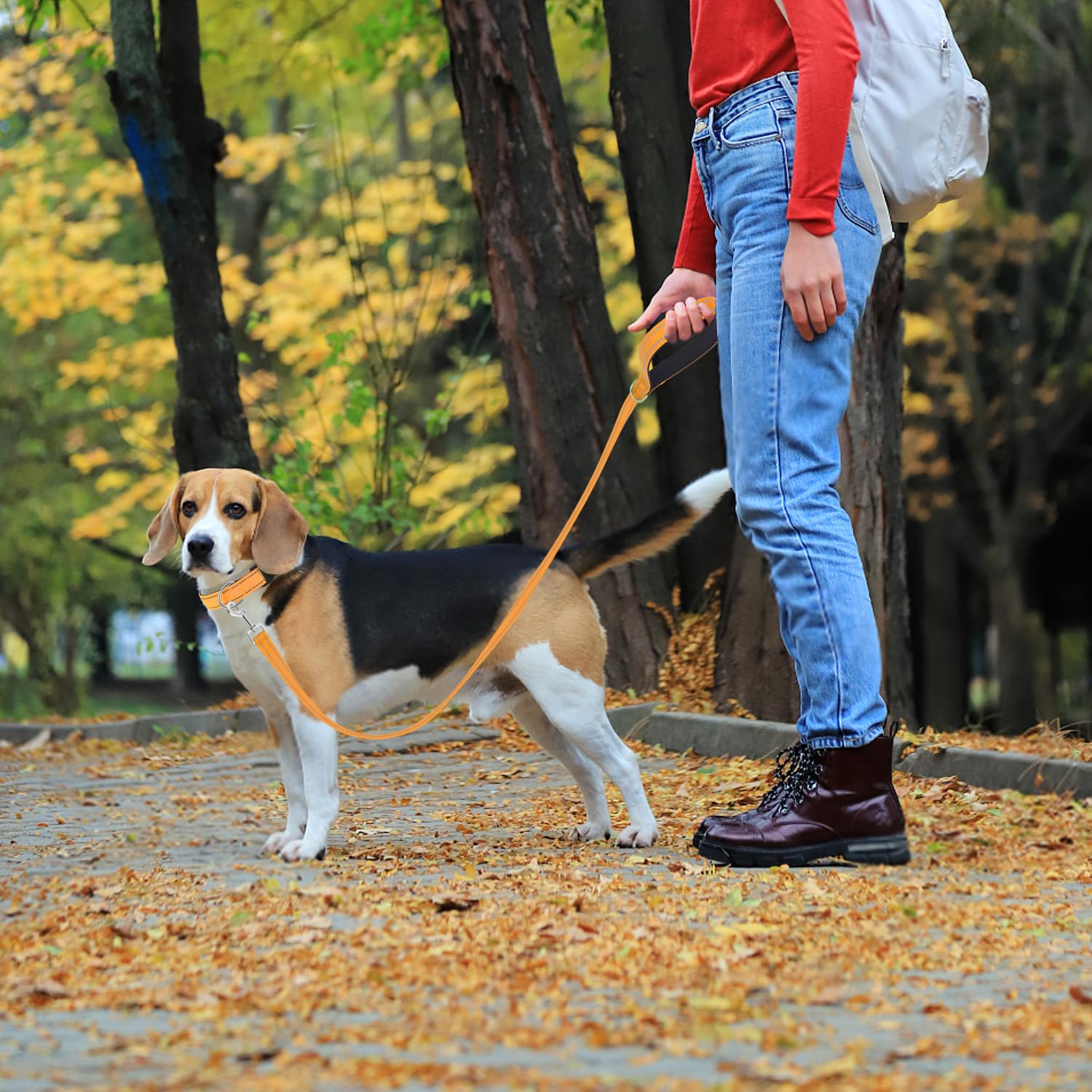 Usunyvora Reflective Nylon Dog Leash For Walking,Strong Dog Leash With Padded Handle For Small And Medium Dogs,6 Ft,Orange