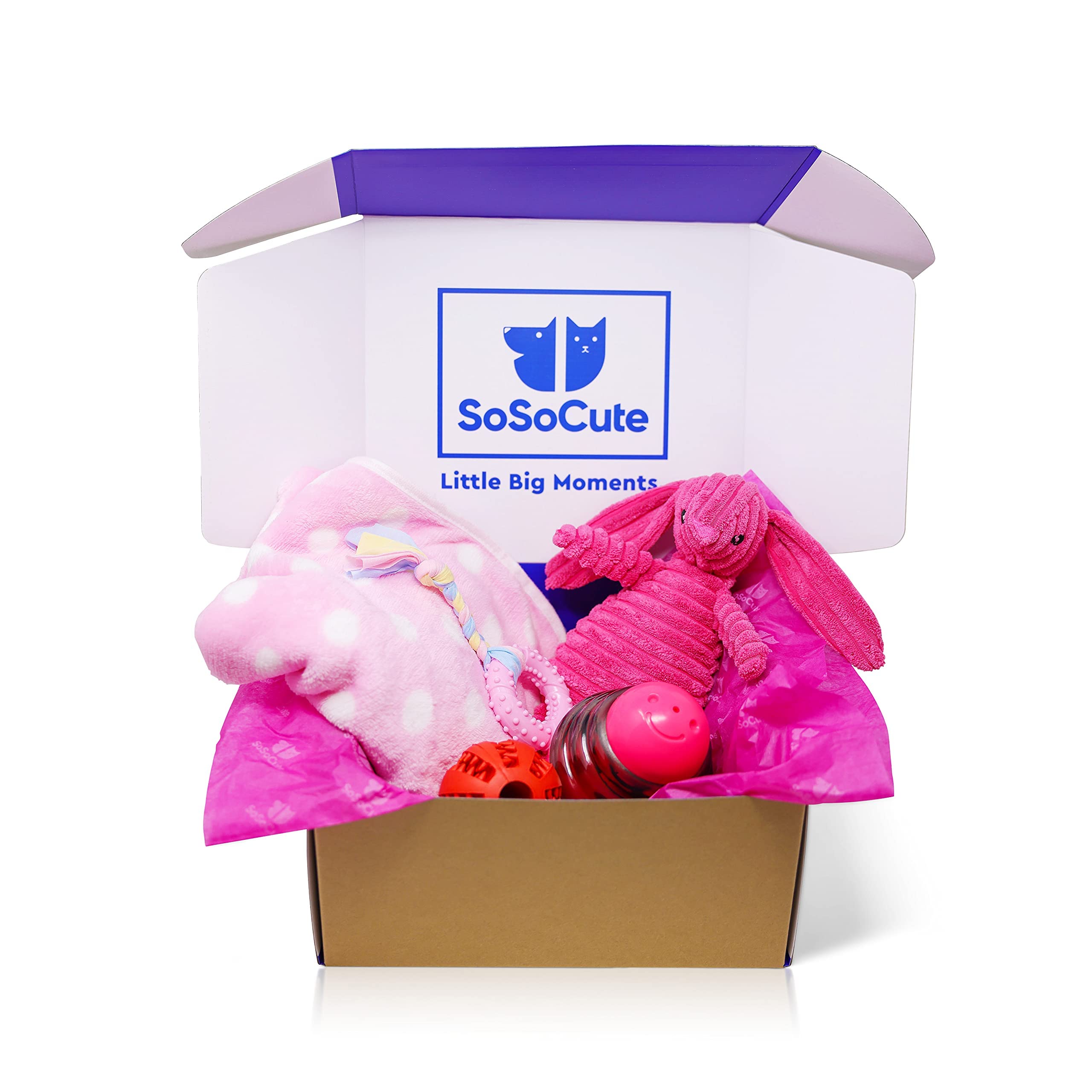 SoSoCute Pink Dog Gift Box - Puppy Chew Toy Set of 5 - Puppy Care Package with Dog Blanket, Squeaky Plush, Rubber Puppy Teether,