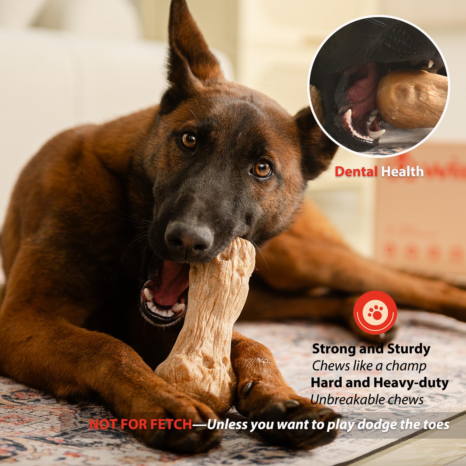 Willjoy Dog Chew Toys for Aggressive Chewers, Large Pine Wood & Nylon, Bacon Flavor, Model DCT01 - 1-Pack DuraDumb