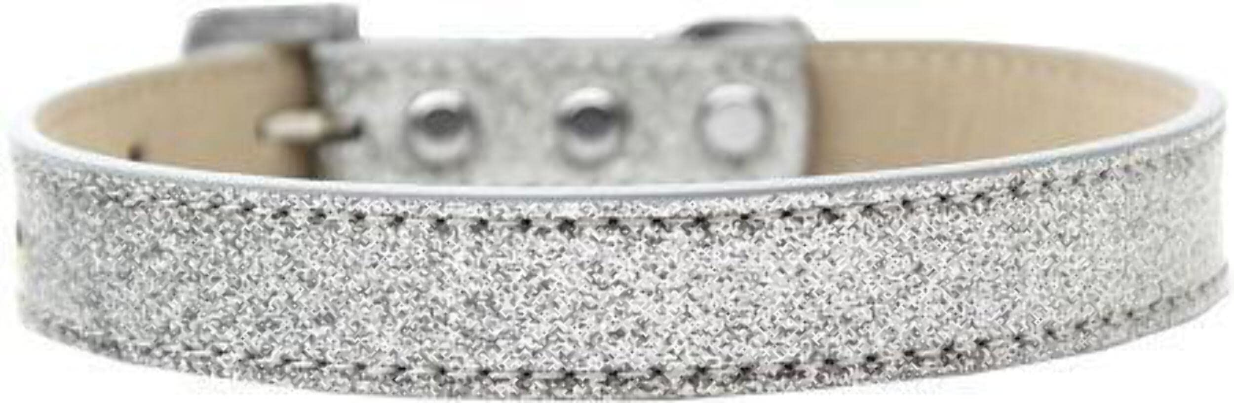 Dog, Puppy & Pet Ice Cream Collar Plain, Blank Tulsa (3/4" Wide) Silver 18