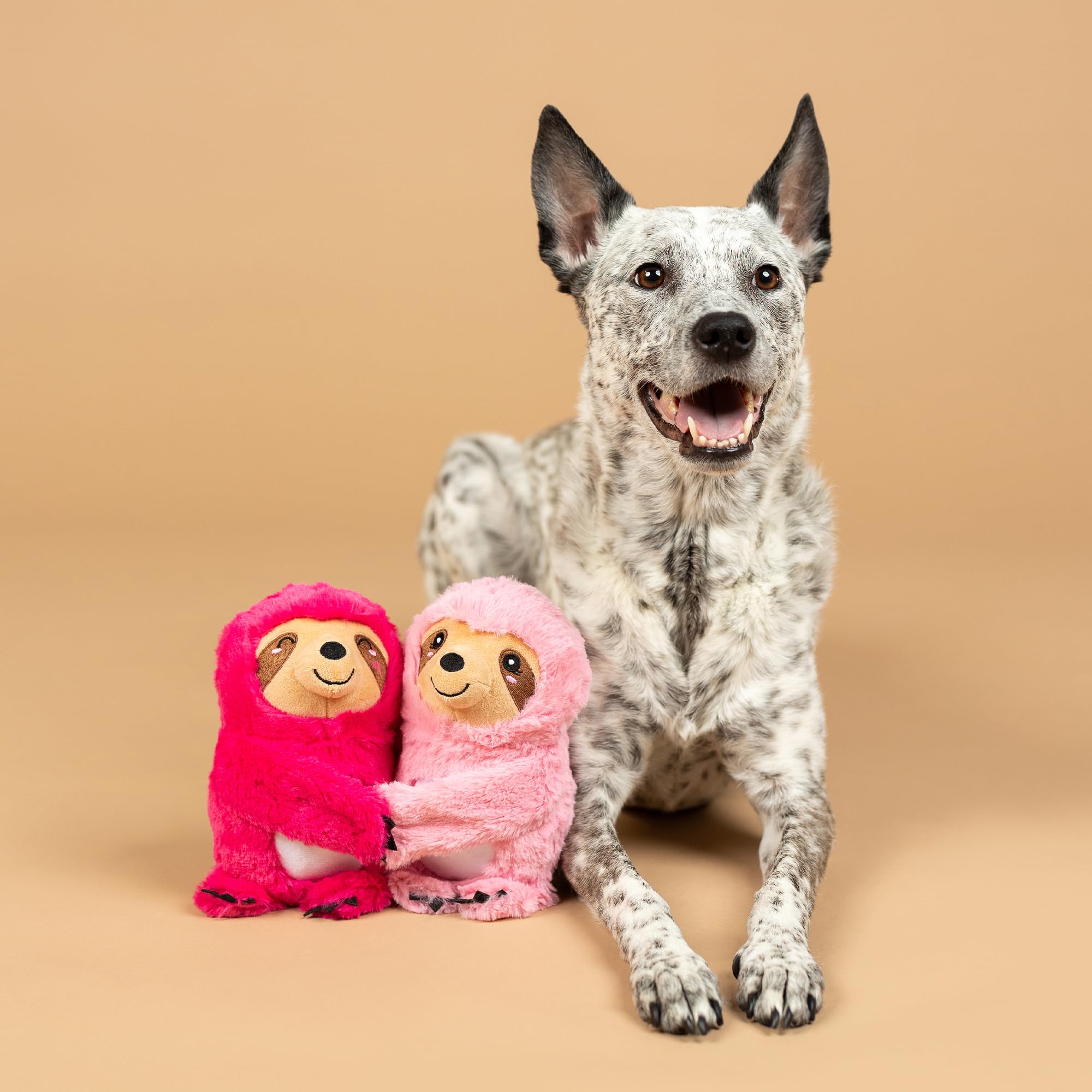 Fringe Studio Plush Dog Toy, 2 Pieces Set, Cuddle Buds, Petshop Collection (312063)