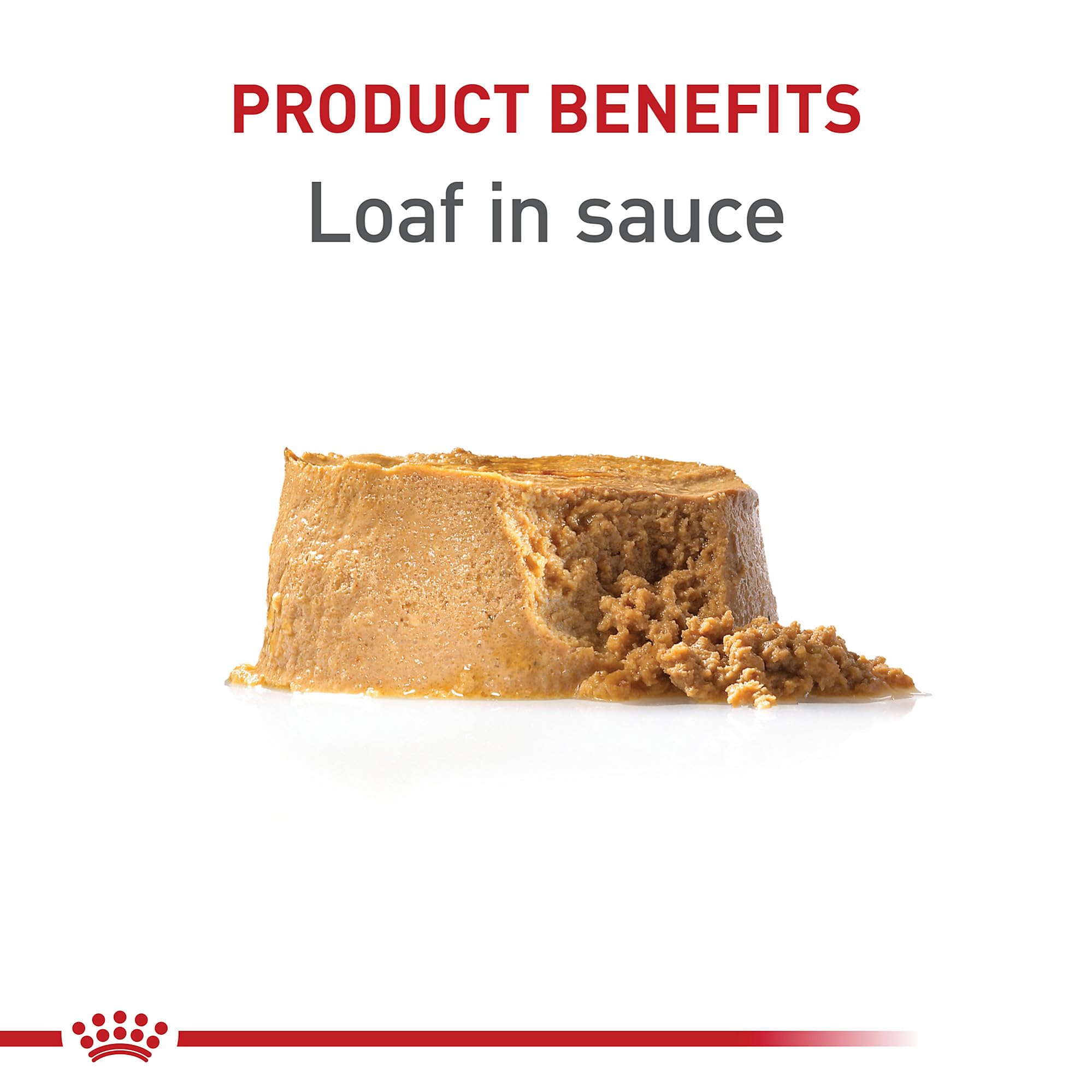 Royal Canin Canine Health Nutrition Puppy Loaf in Sauce Dog Food, 5.2 oz (Pack of 12)