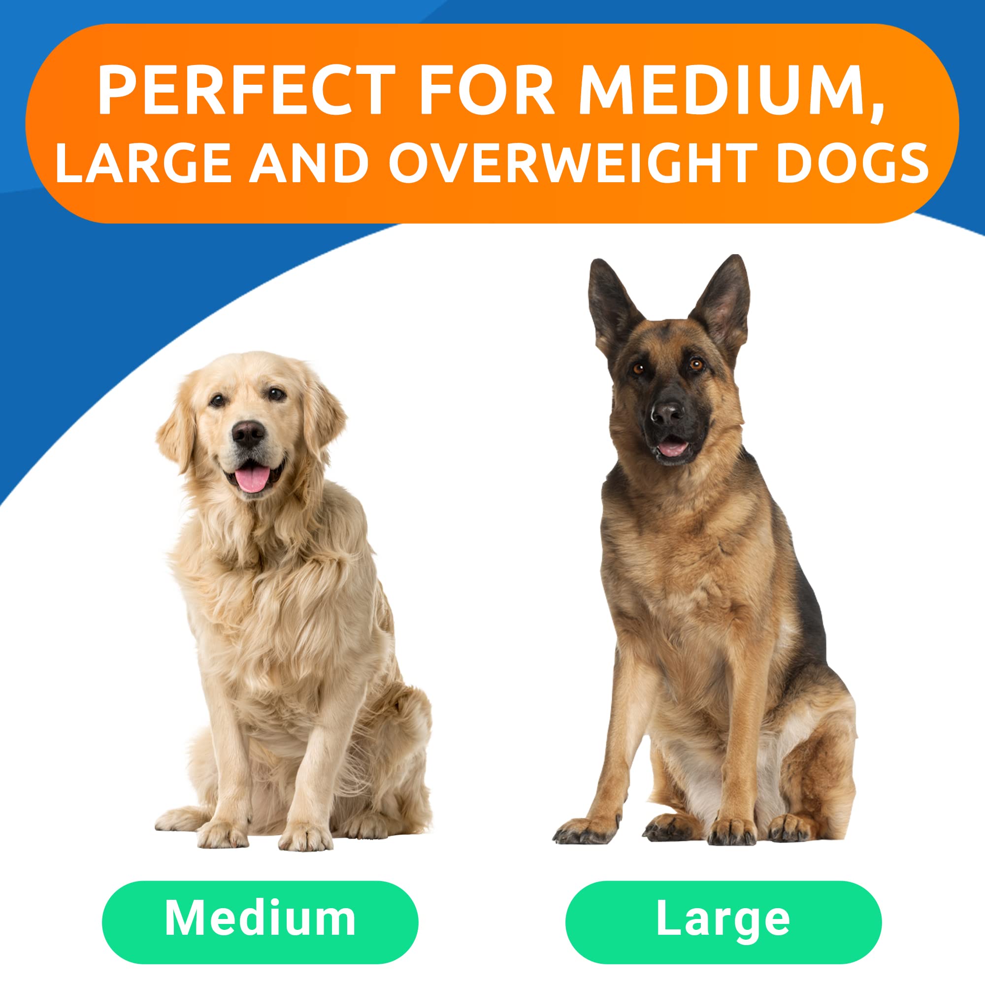 Glucosamine Chondroitin Dog Hip & Joint Supplement - Joint Pain Relief - Hip & Joint Chews for Dogs - Joint Support Large Breed