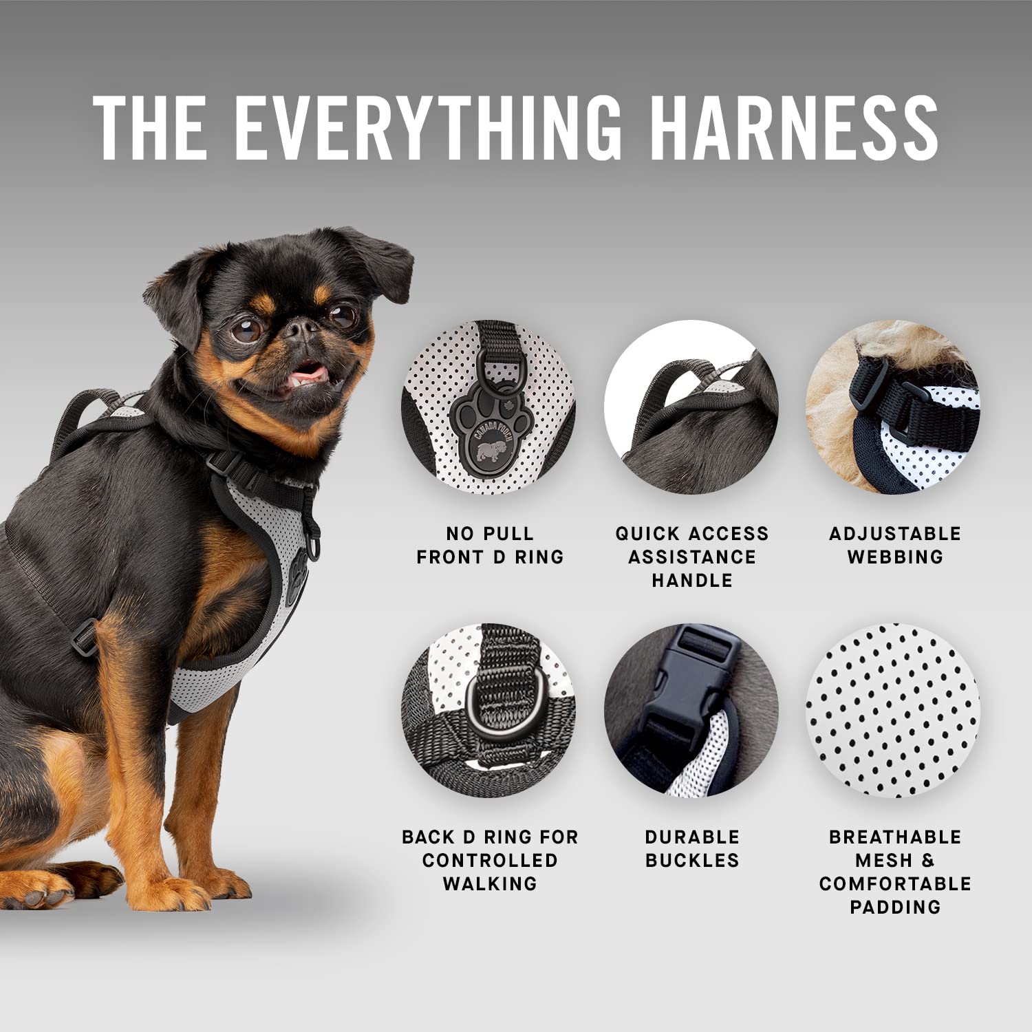 Canada Pooch Everything No Pull Dog Harness - Easy Walk Harness For Dogs With Breathable Mesh Exterior, Adjustable Dog Walking Harness Great For Dogs Reflective/M