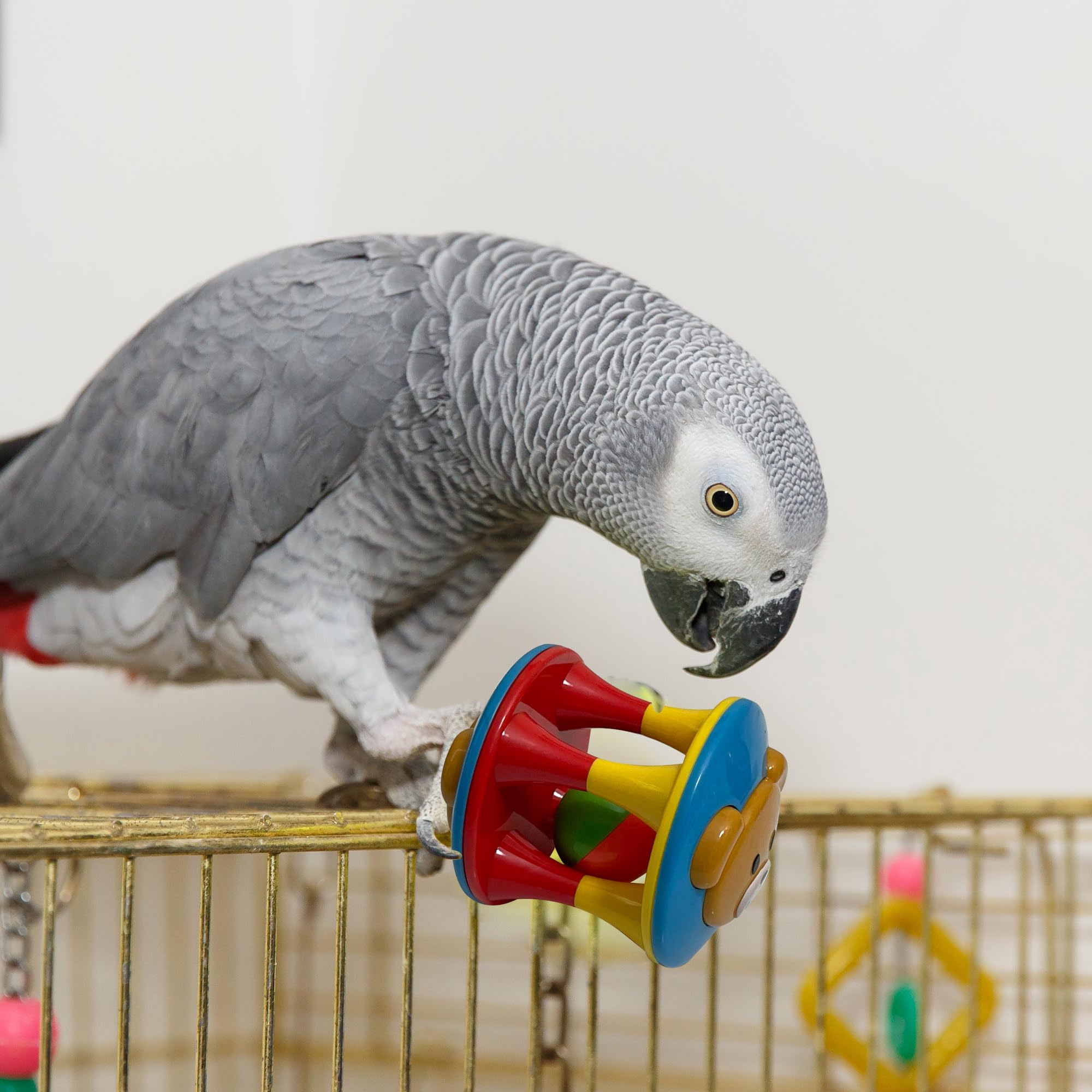 Simena Parrot Ball Toy With Bell, Cage Hanging Accessories For Medium To Large Birds, Interactive Toys For Birds, Cat Ball Toy (