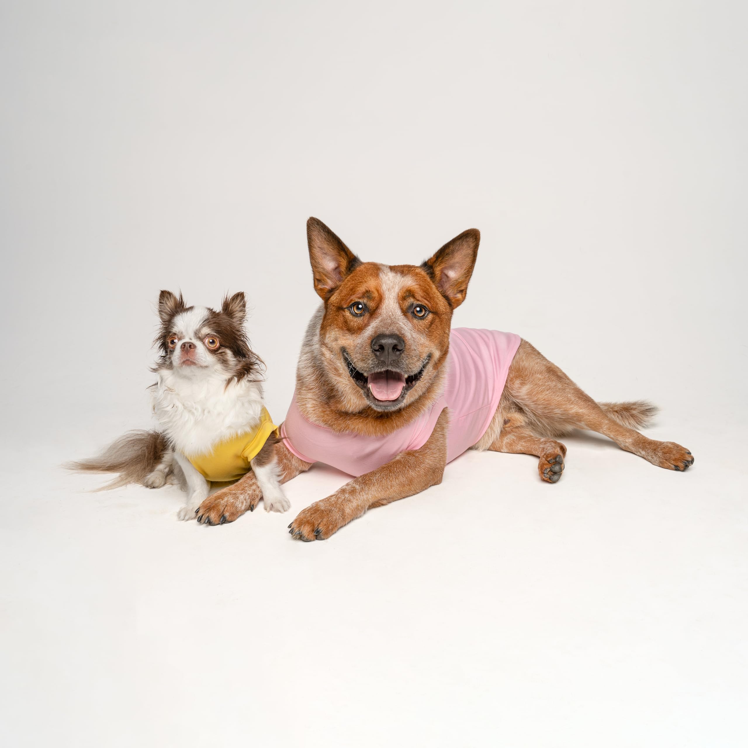 Love My Grandma Mother'S Day, Valentine'S Day Dog Tee Shirt Sizes For Puppies, Toys, And Large Breeds (Green, 2X-Large 399)