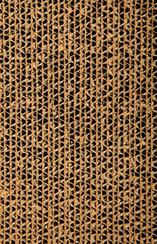 Original Scratch Lounge Cardboard Cat Scratcher & Lounger, XL 13"x22", Durable, Reversible Floor, Catnip Included