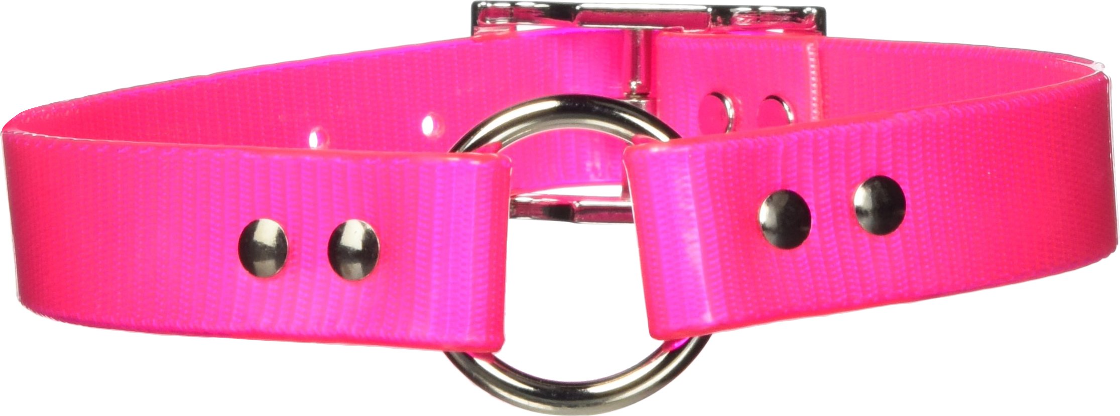 Omnipet Sunglo Ring-In-Center Dog Collar, 1' Wide, Pink, Fits 18.5'- 22' Neck Sizes, Vibrant Colors & Tough Construction For 