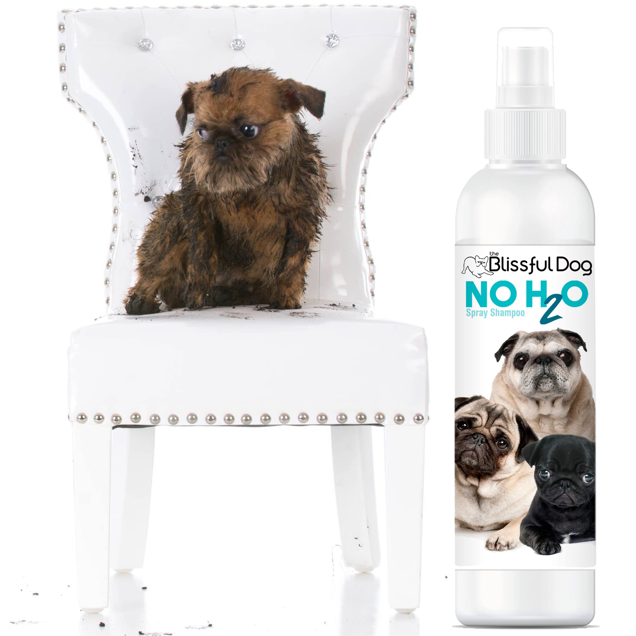 The Blissful Dog No H2O Waterless Pet Shampoo, 8 oz.