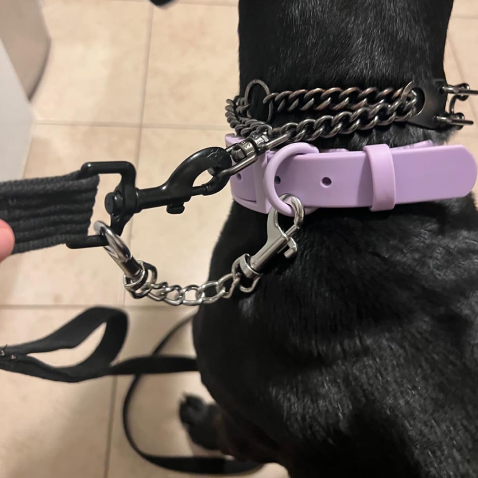 Jipimon Safety Clip Metal Double Ended Backup Dog Collar Clip For Prong Harness Connector (Small)