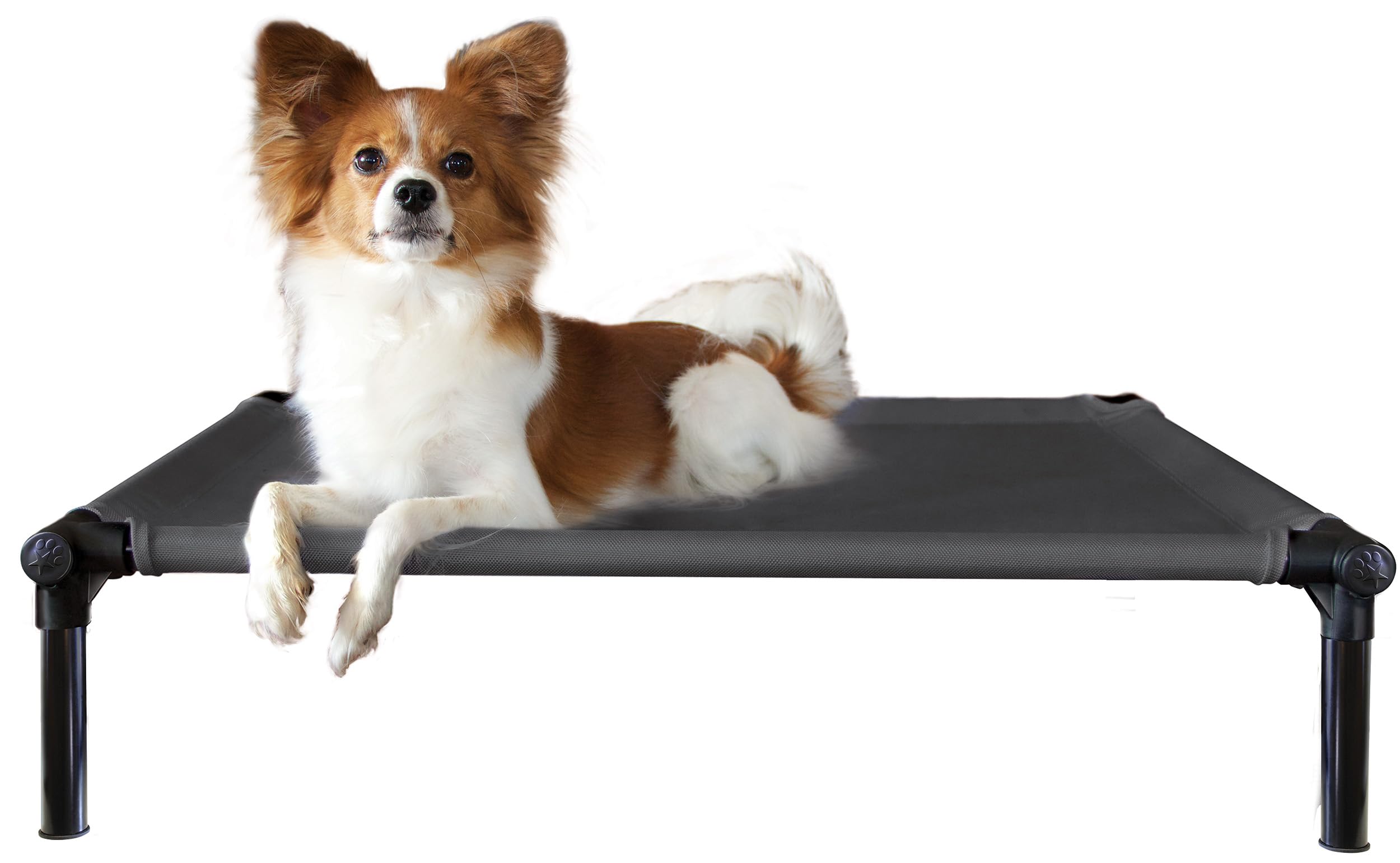 Starmark Dog Zone Bed Medium Charcoal