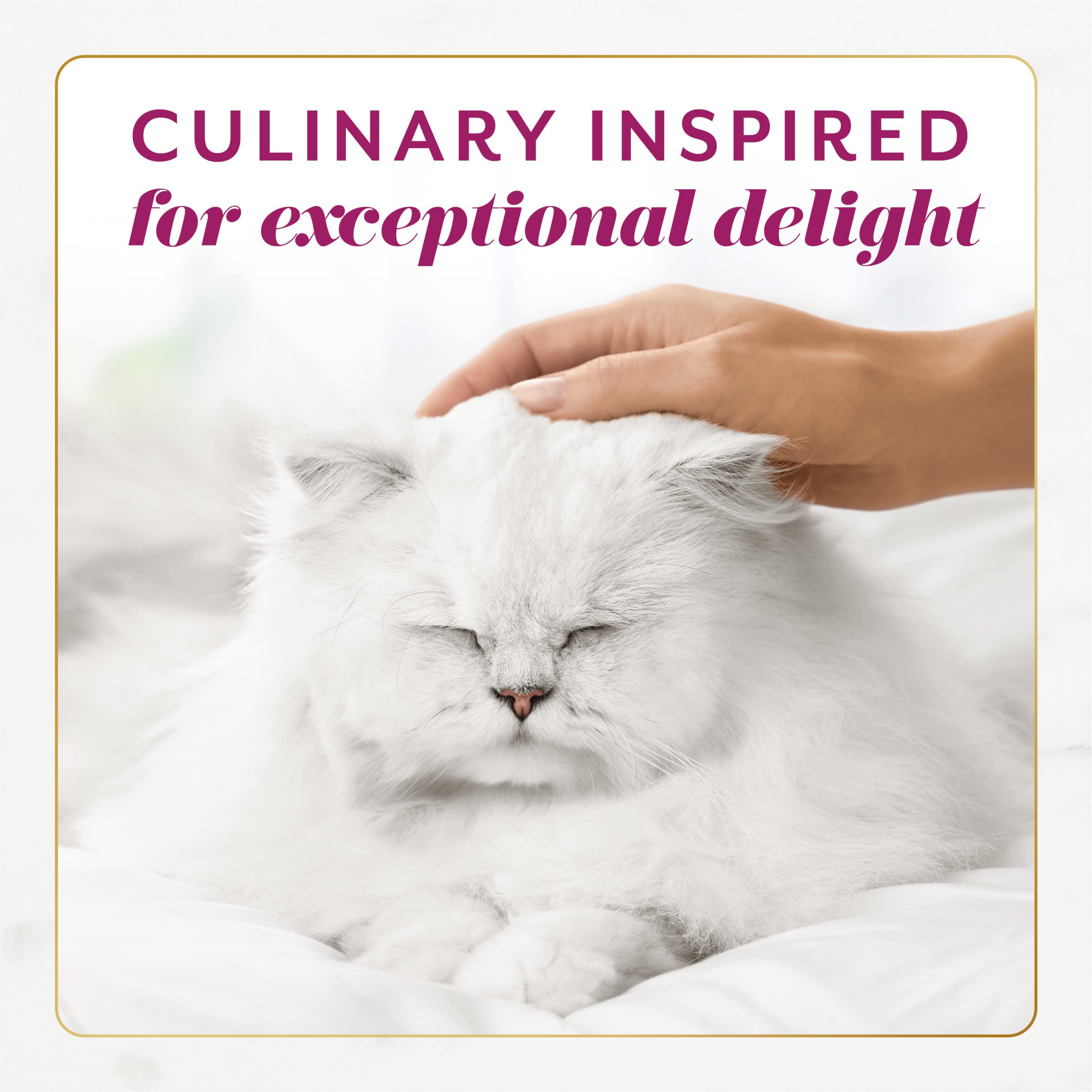Fancy Feast Gems Pate Cat Food Mousse with Beef and a Halo of Savory Gravy Cat Food - (Pack of 8) 4 oz. Boxes