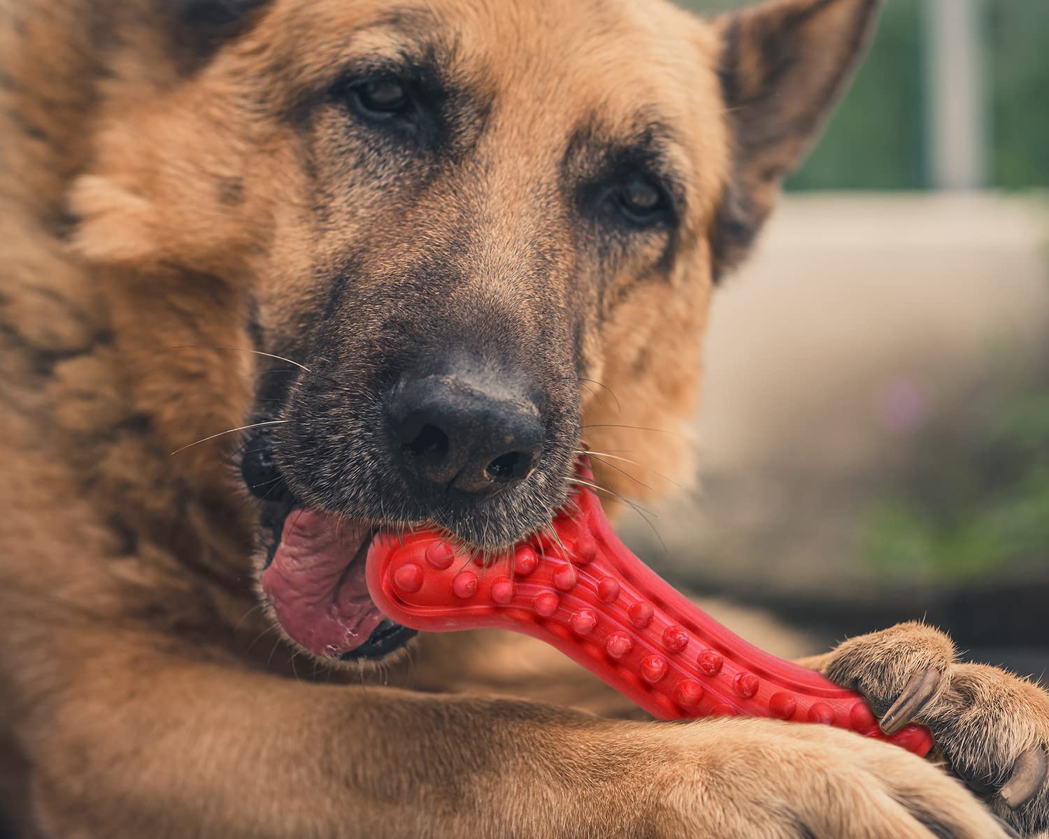 German Shepherd Dog Chew Toys for Aggressive Chewers,Indestructible Beef Flavored Tough Durable Dog Bone Toy Natural Rubber Teet