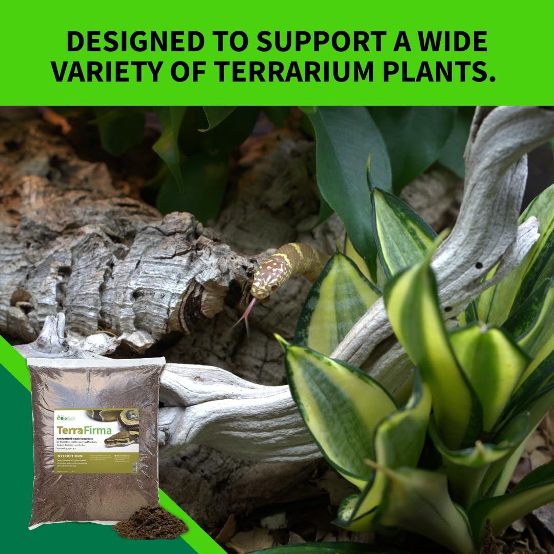 The Bio Dude Terra Firma Reptile Substrate 36 Quarts For Terrariums And Vivariums. Bioactive Habitat Substrate For Ball Pythons,
