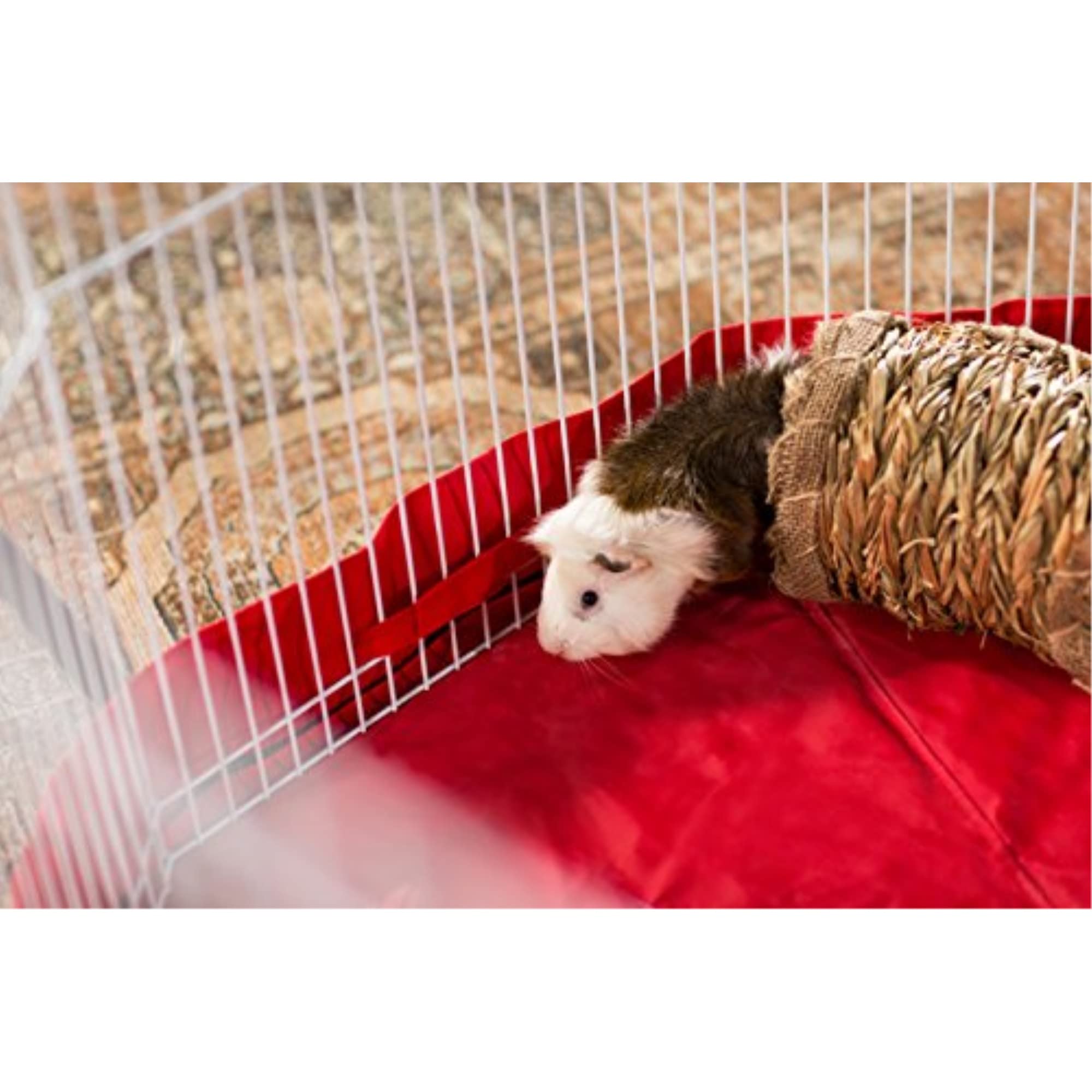 Prevue Hendryx 1098 Natures Hideaway Grass Tunnel Toy, 13.5 x 6