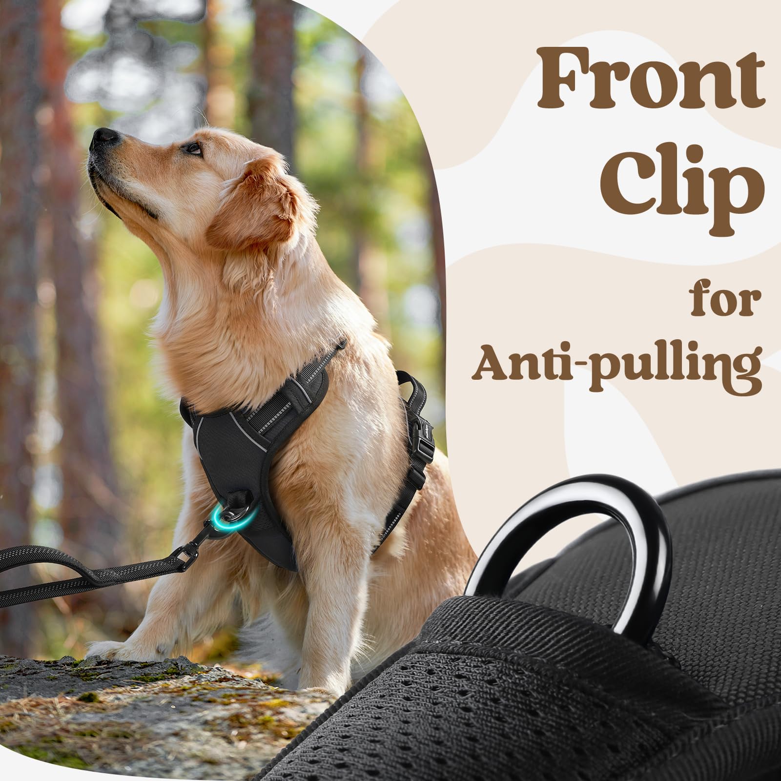 Rabbitgoo Dog Harness Small Sized, No Pull Pet Harness With 3 Buckles, Adjustable Soft Padded Pooch Vest With Instant Control Handle, Easy Walking Reflective Pet Vest For Small Dogs, Black, S