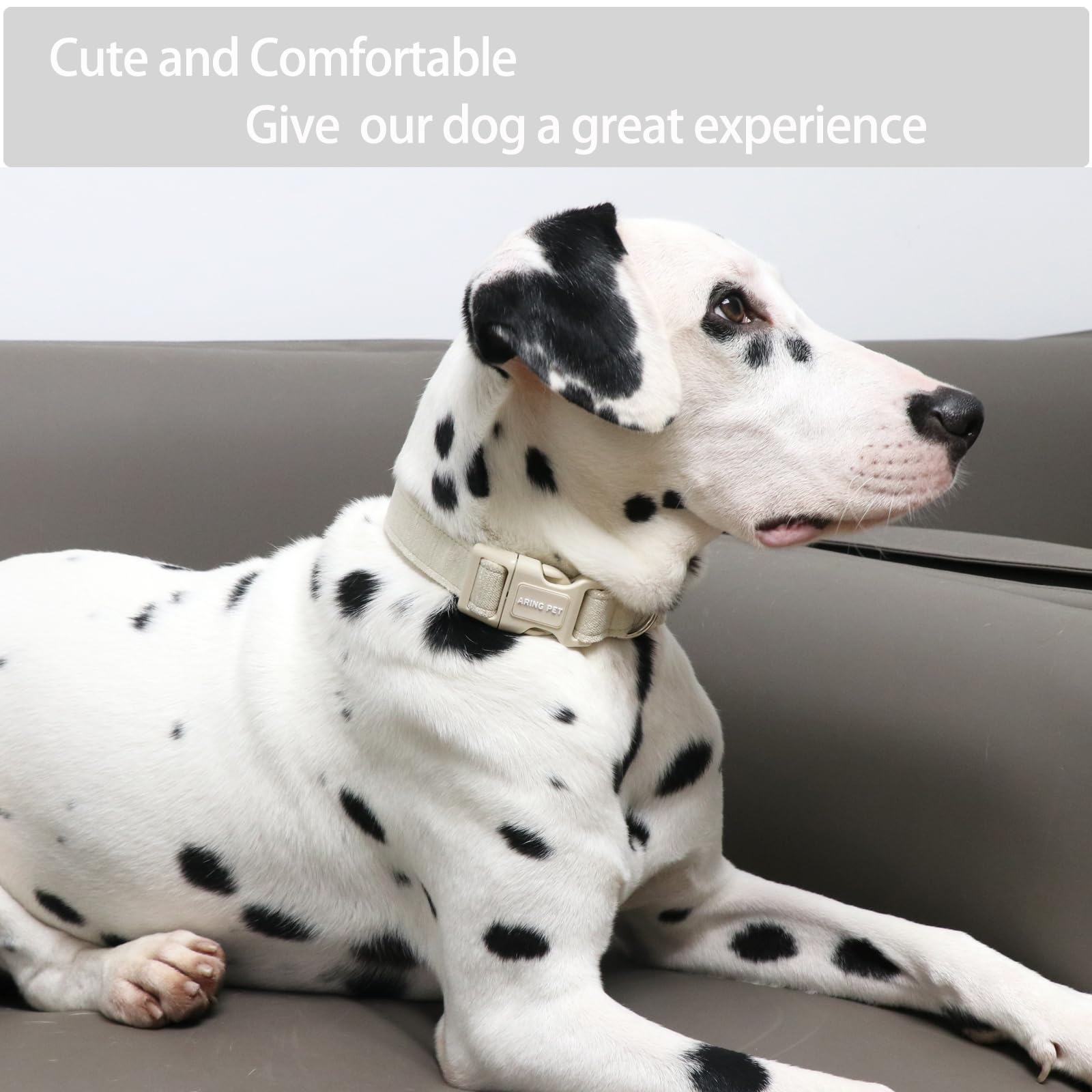 Aring Pet Cotton Dog Collar - Lightweight, Comfortable, Quick Release Buckle, X-Small, Khaki for Small to Medium Dogs