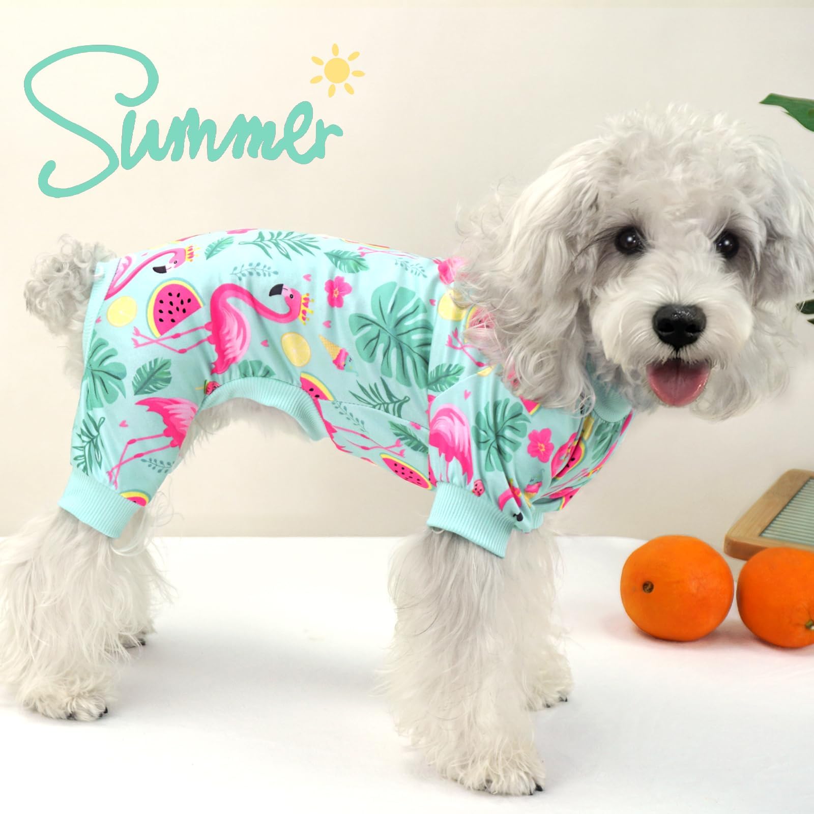 Xpudac 4 Pack Dog Pajamas For Small Dogs Girl Boy Soft Stretchy Pjs Summer Puppy Clothes For Doggie Pet Outfits, Small