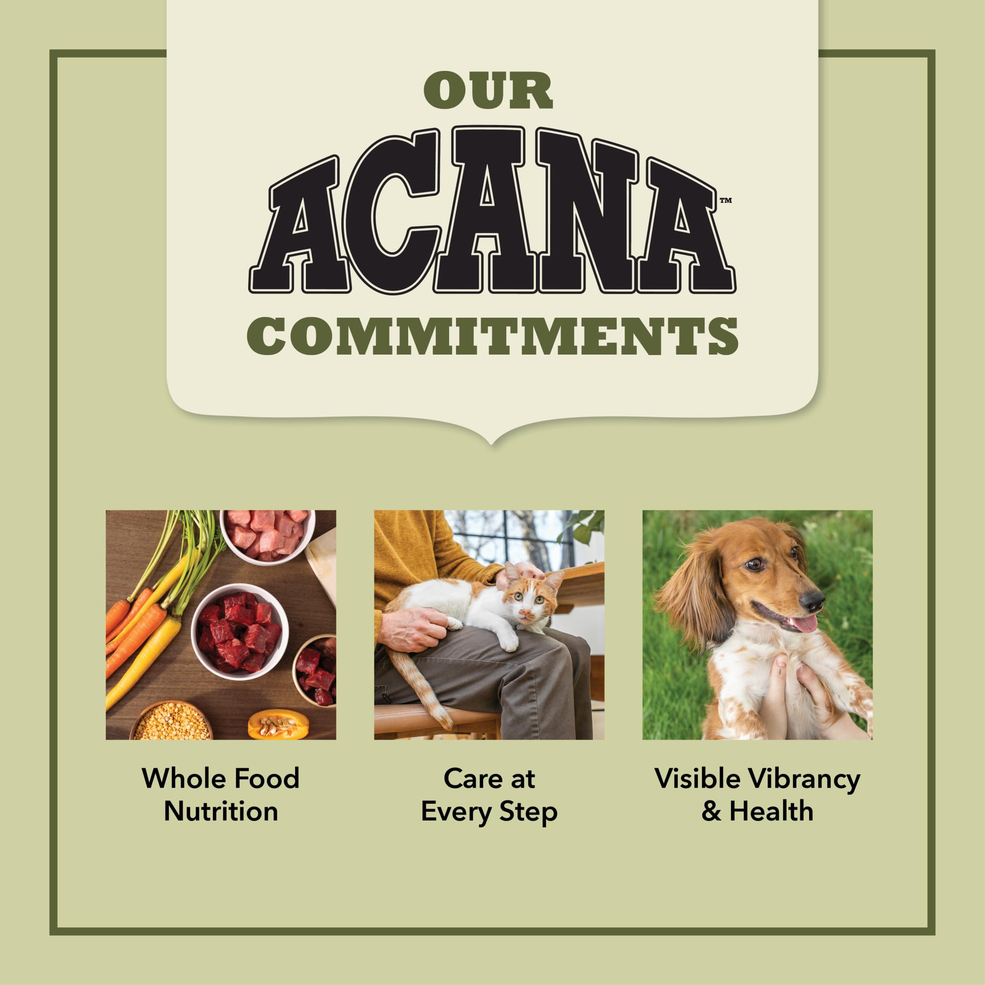 ACANA Indoor Cat 10LB