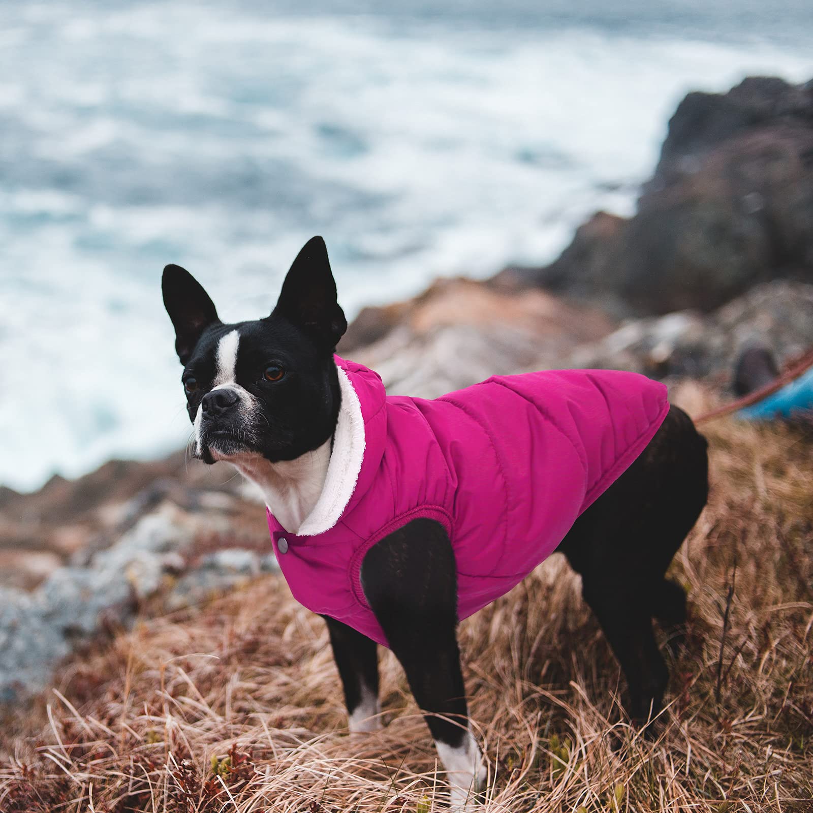 Fleece Hoodie, Windproof Waterproof Coat, Winter Warm Jacket, Cold Weather Pet Apparel Clothes Vest For Small Medium Large Dogs