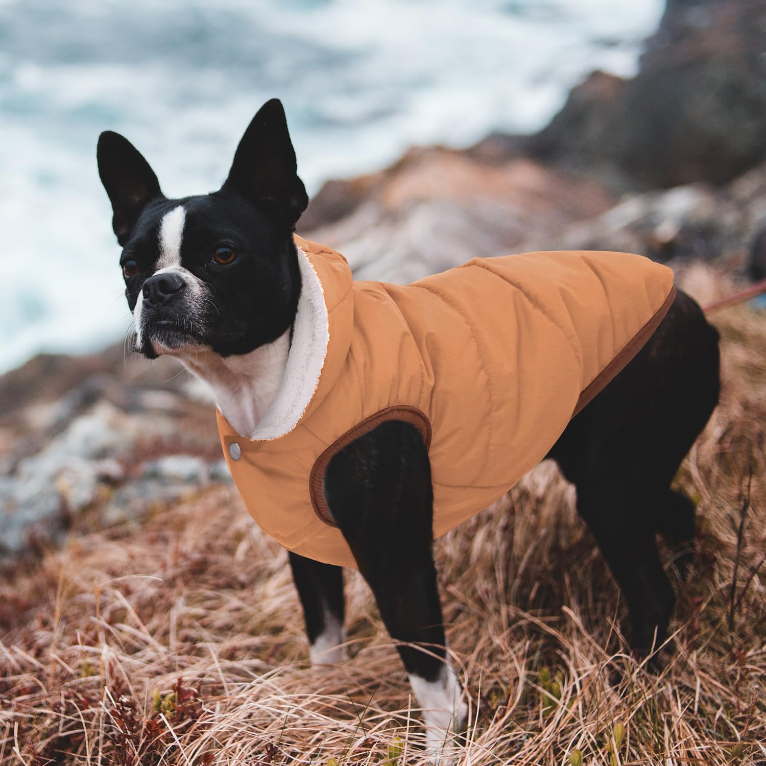 Windproof Waterproof Dog Coat Fleece & Cotton Lined Warm Jacket, Cold Weather Pet Apparel Clothes Vest For Small To Large Dogs (