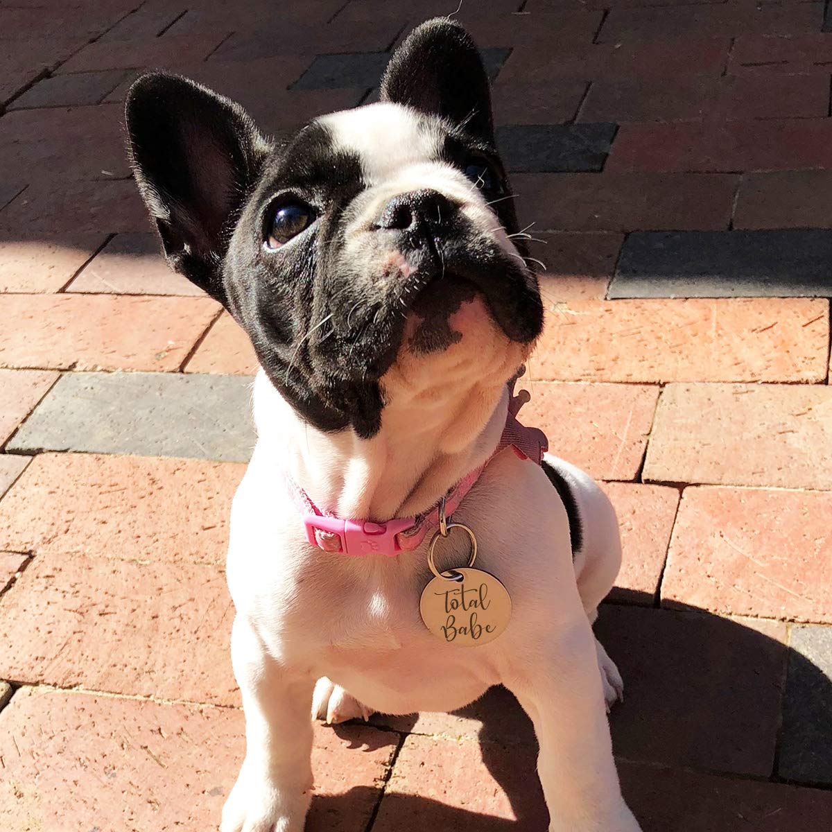 Total Babe Personalized Pet Id Tag - 30Mm Double Sided Laser Engraved For Dog Or Cat