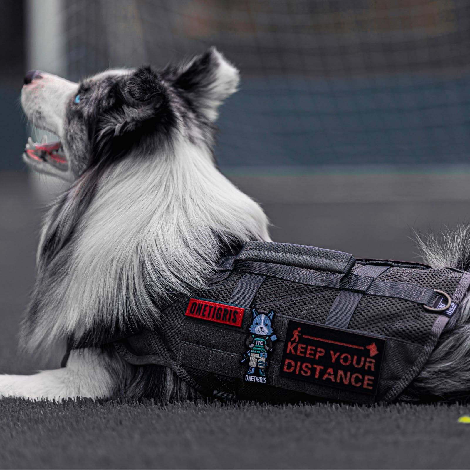 ONETIGRIS Tactical Dog Harness for Medium Dogs, No Pull, Breathable Grey Military Vest, Aire Mesh with Handles for Hiking & Training