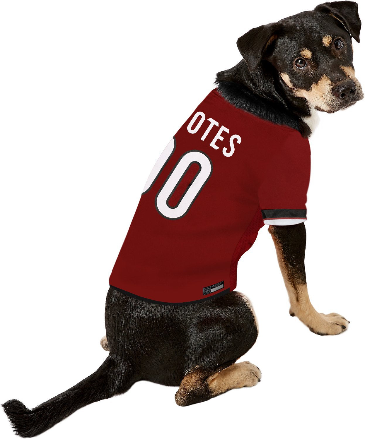 Pets First NHL San Jose Sharks Jersey for Dogs & Cats, X-Small. - Let Your Pet Be A Real NHL Fan!, X-Small Hockey Jersey