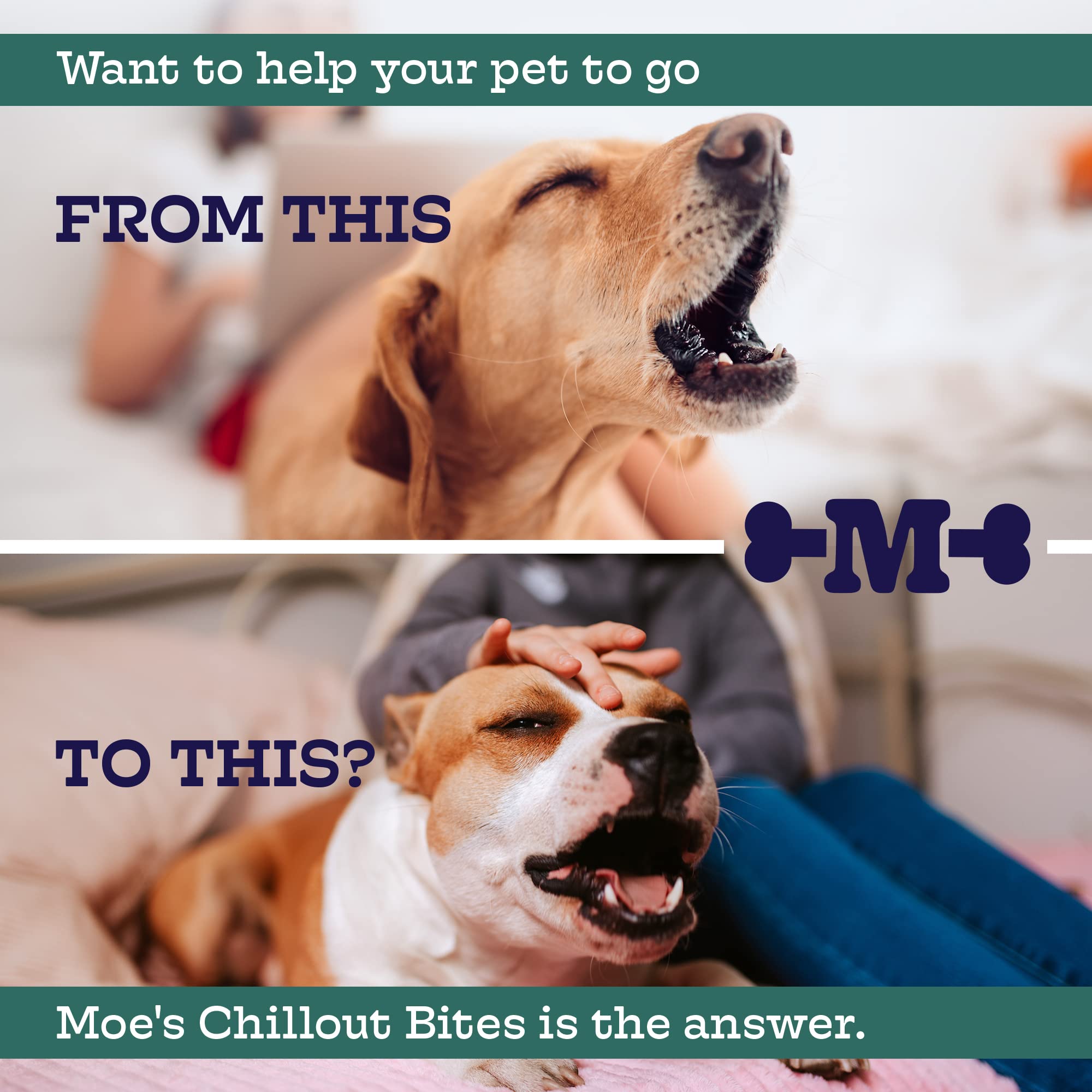 Moe      s Hemp Calming Chews for Dogs - Helps Aid with Storms, Fireworks, Chewing, Barking, Travel, Stress, Anxiety & Separatio