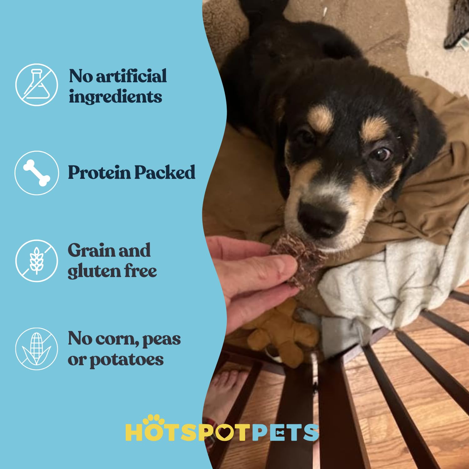 hotspot pets Beef Lung Dog Treats -1 Pound Big Bag - Slow Roasted, All Natural Dehydrated Premium Beef Lung Training Treats for